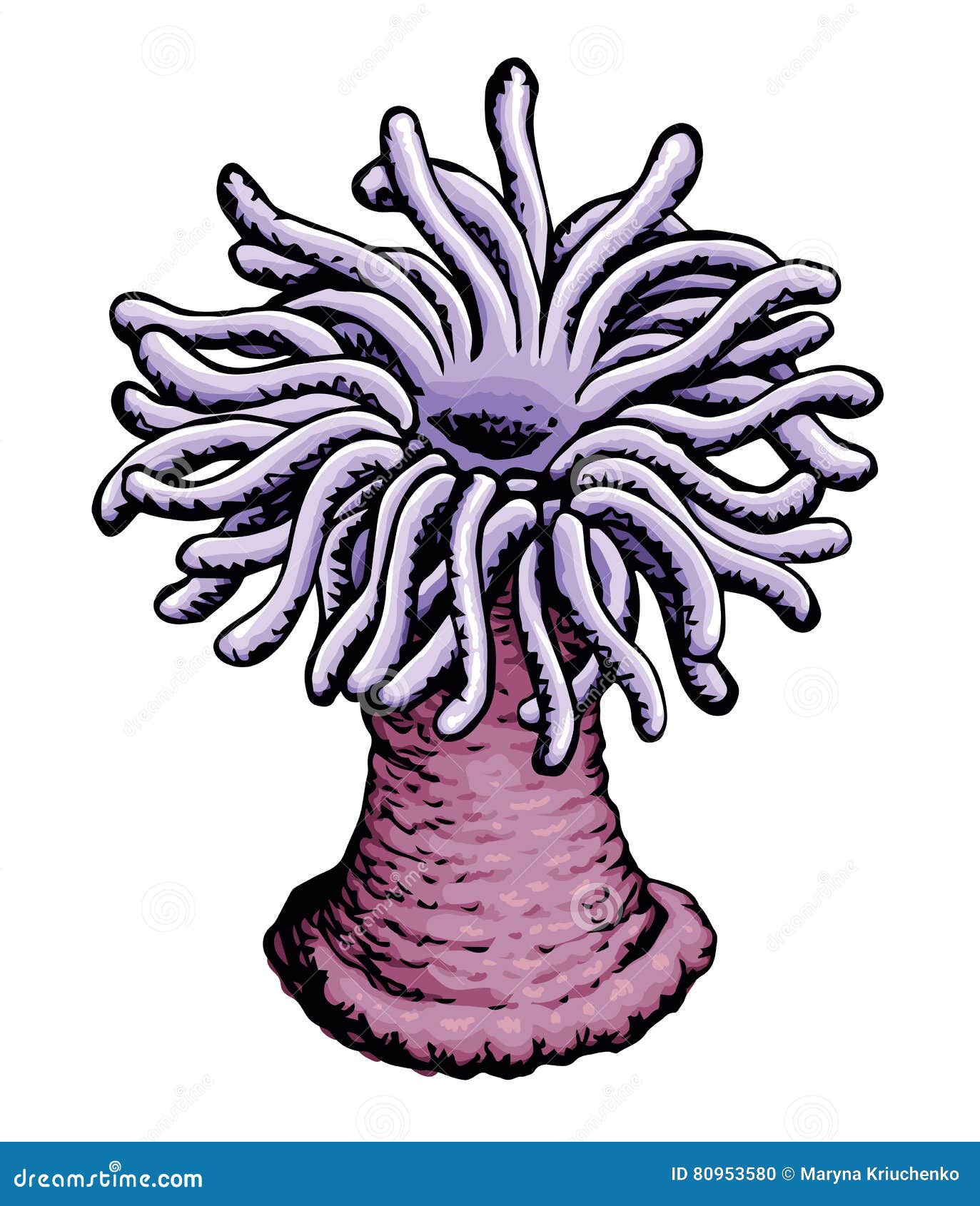 Sea anemone. Vector sketch Stock Vector by ©Marinka 163316298