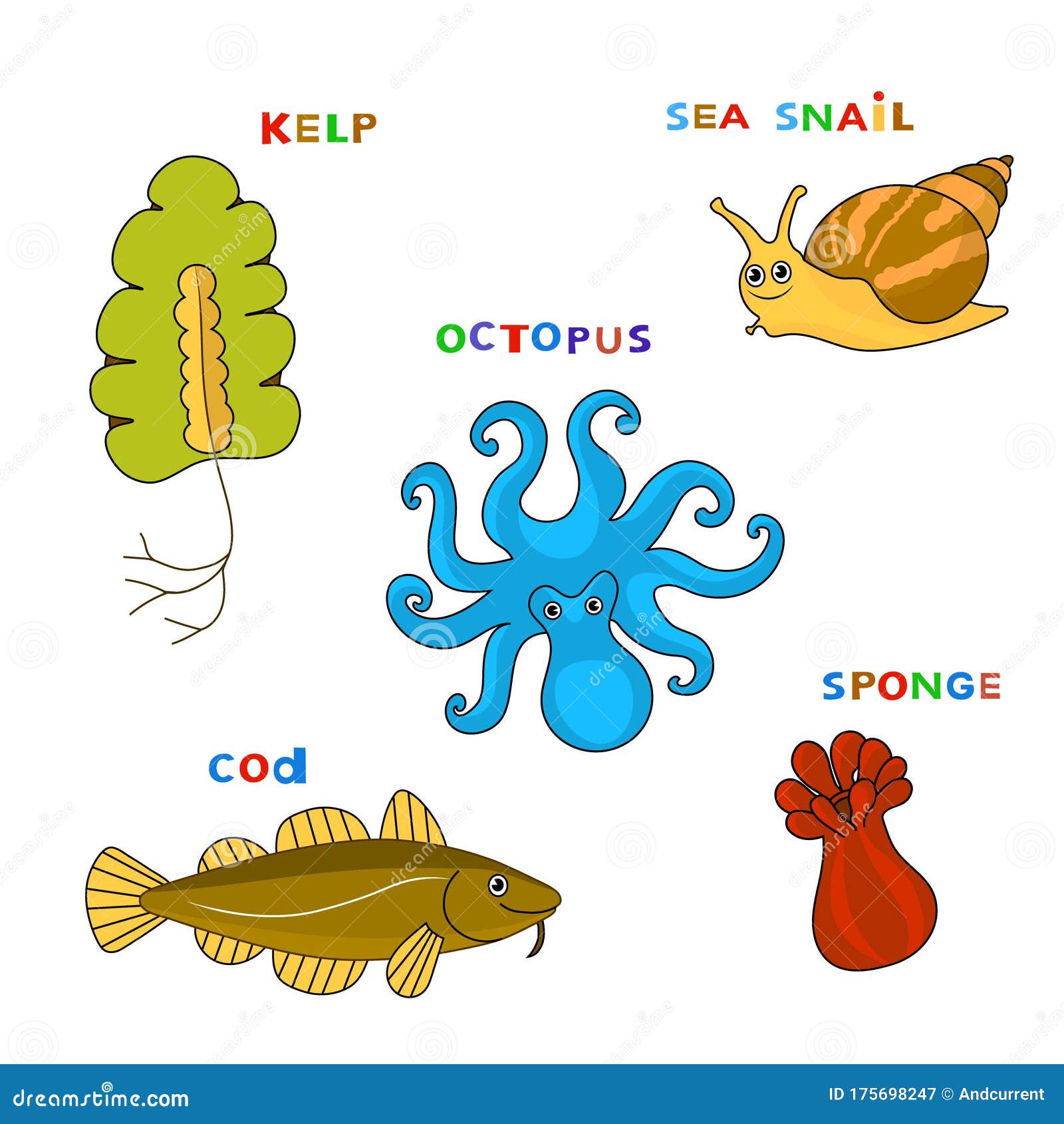 Sea Animals Set. Vector Cartoon Color Image. Stock Vector - Illustration of sponge, kelp: 175698247 Sea Animals Set. Vector Cartoon Color Image. Stock Vector - Illustration of sponge, kelp: 175698247