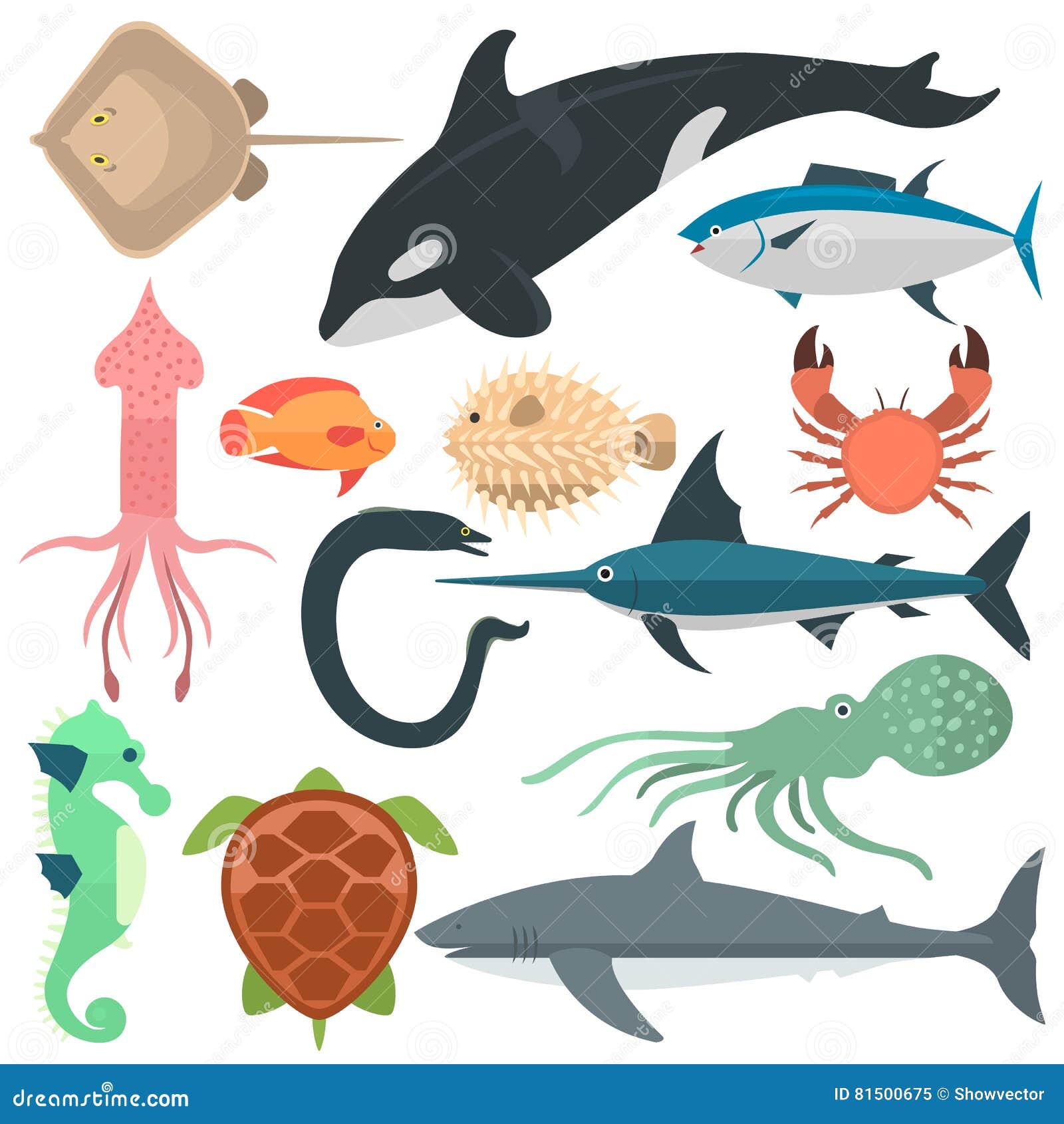 Sea Animals Vector Illustration. Stock Vector - Illustration of beach, drawing: 81500675 Sea Animals Vector Illustration. Stock Vector - Illustration of beach, drawing: 81500675