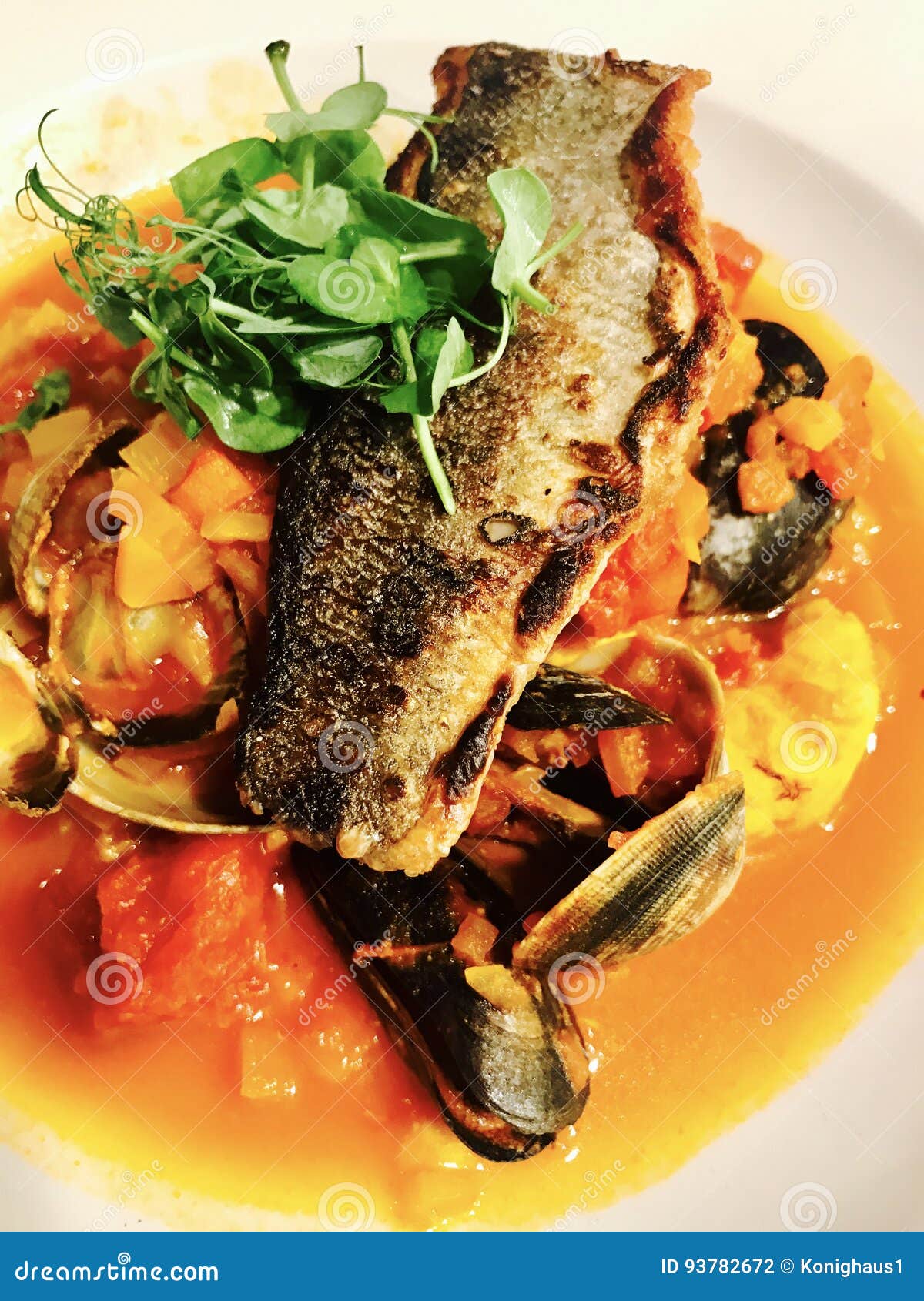 Sea bass fish stock photo. Image of eating, fillet, cooked 93782672