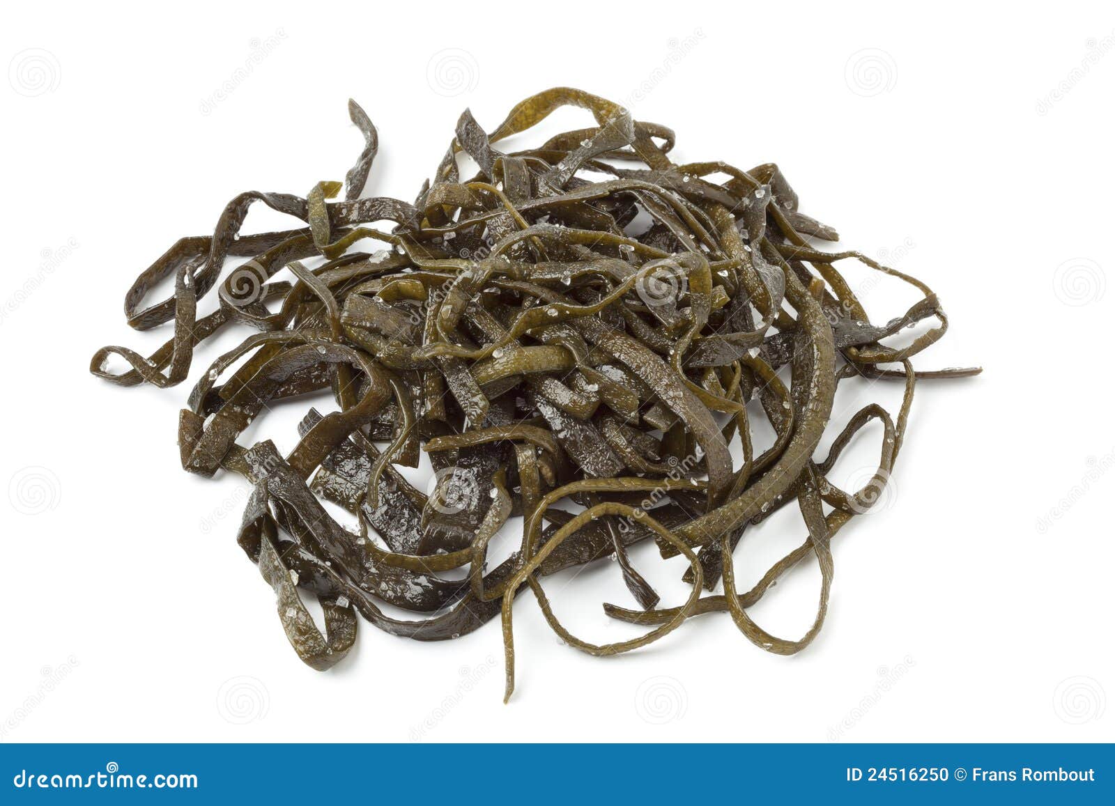 Sea beans stock photo. Image of leaf, beans, preserved 24516250