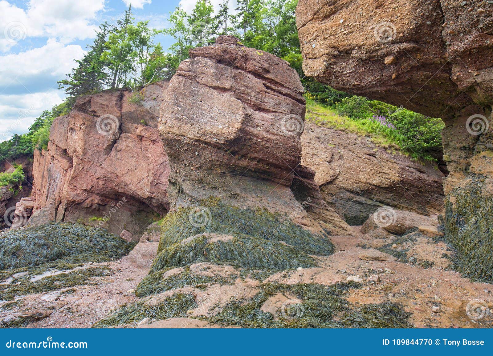 sea bedrock formations at hopewell rocks