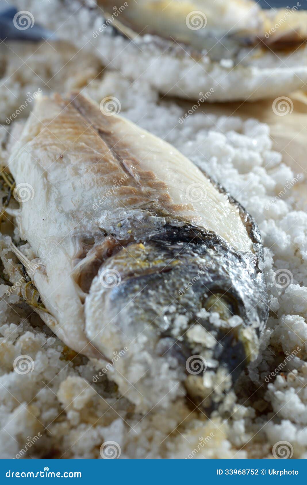Sea bream baked in salt stock photo. Image of prepared 33968752