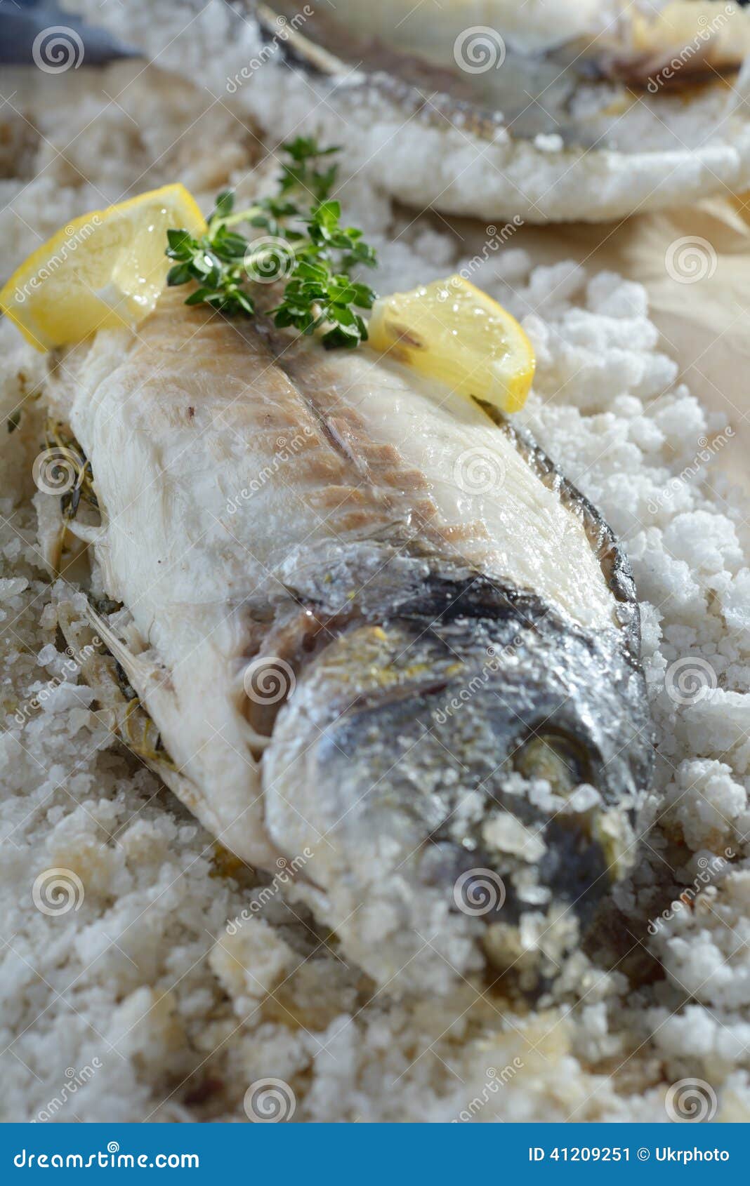 Sea bream baked in salt stock image. Image of cooked 41209251