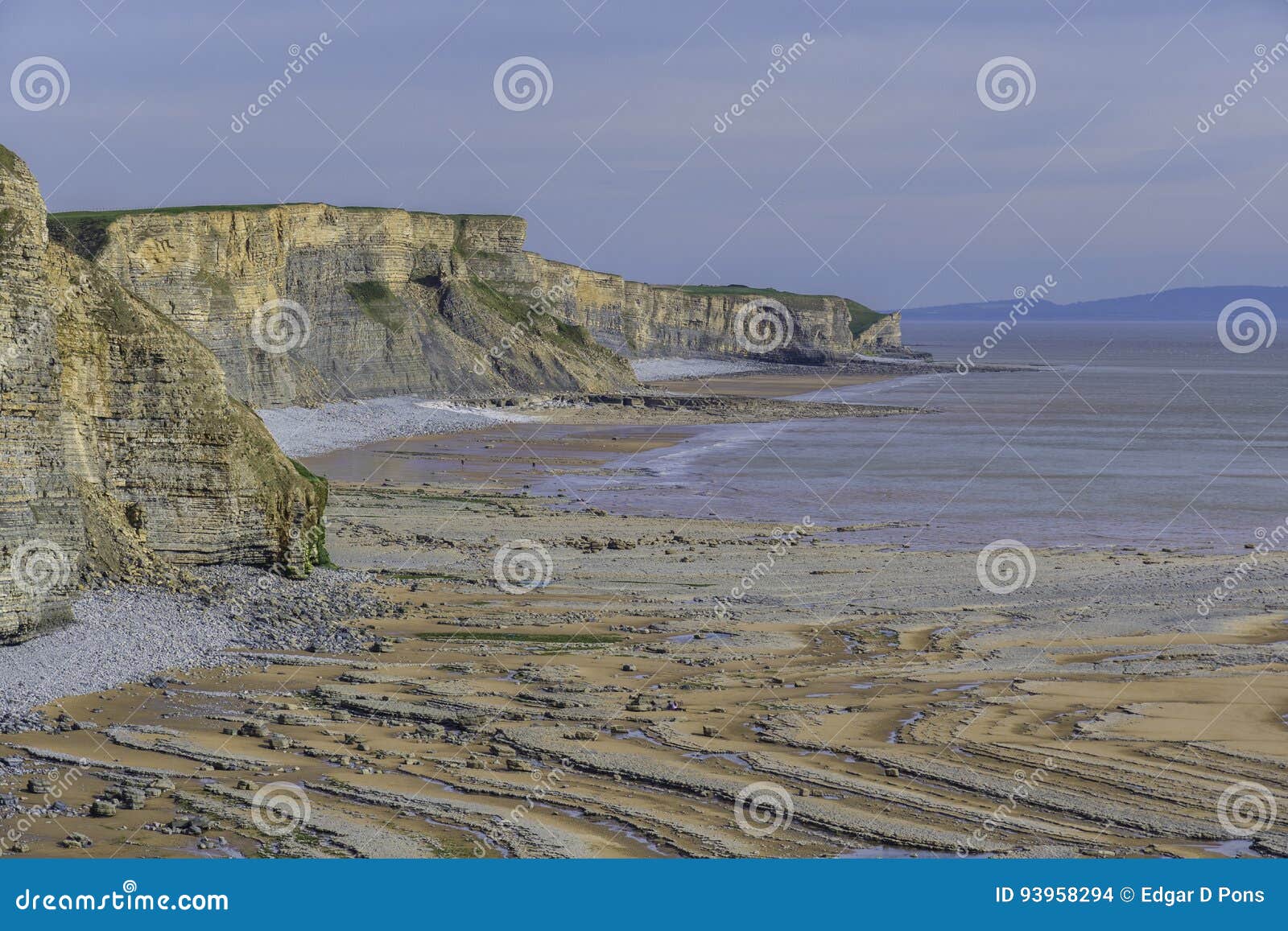 Wave Cut Platform In Red Sandstone At Fleswick Bay Royalty-Free Stock ...