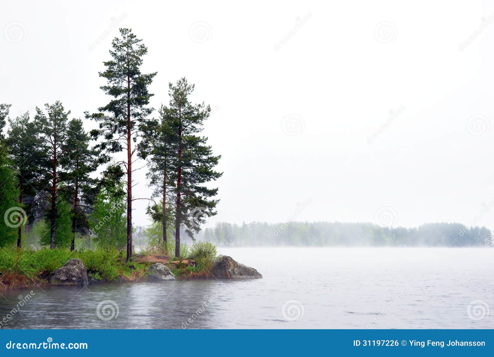 sea with conifer trees in fog
