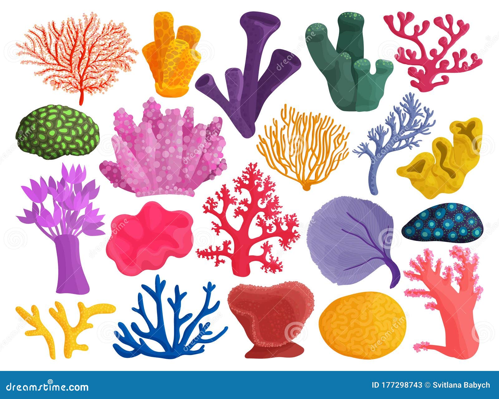 Sea Coral Vector Illustration on White Background. Vector Cartoon Set