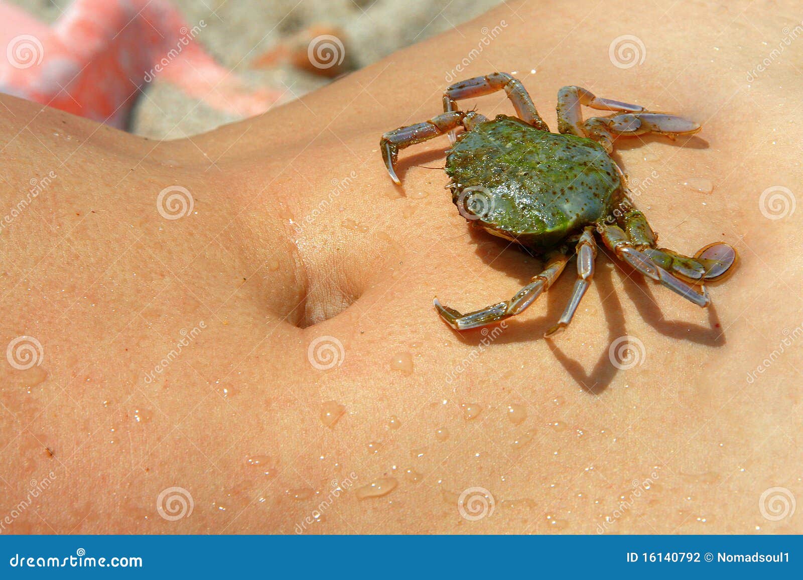 Slideshow naked crab walk.