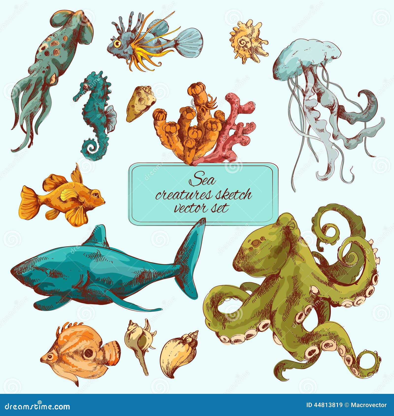 sea creatures sketch colored