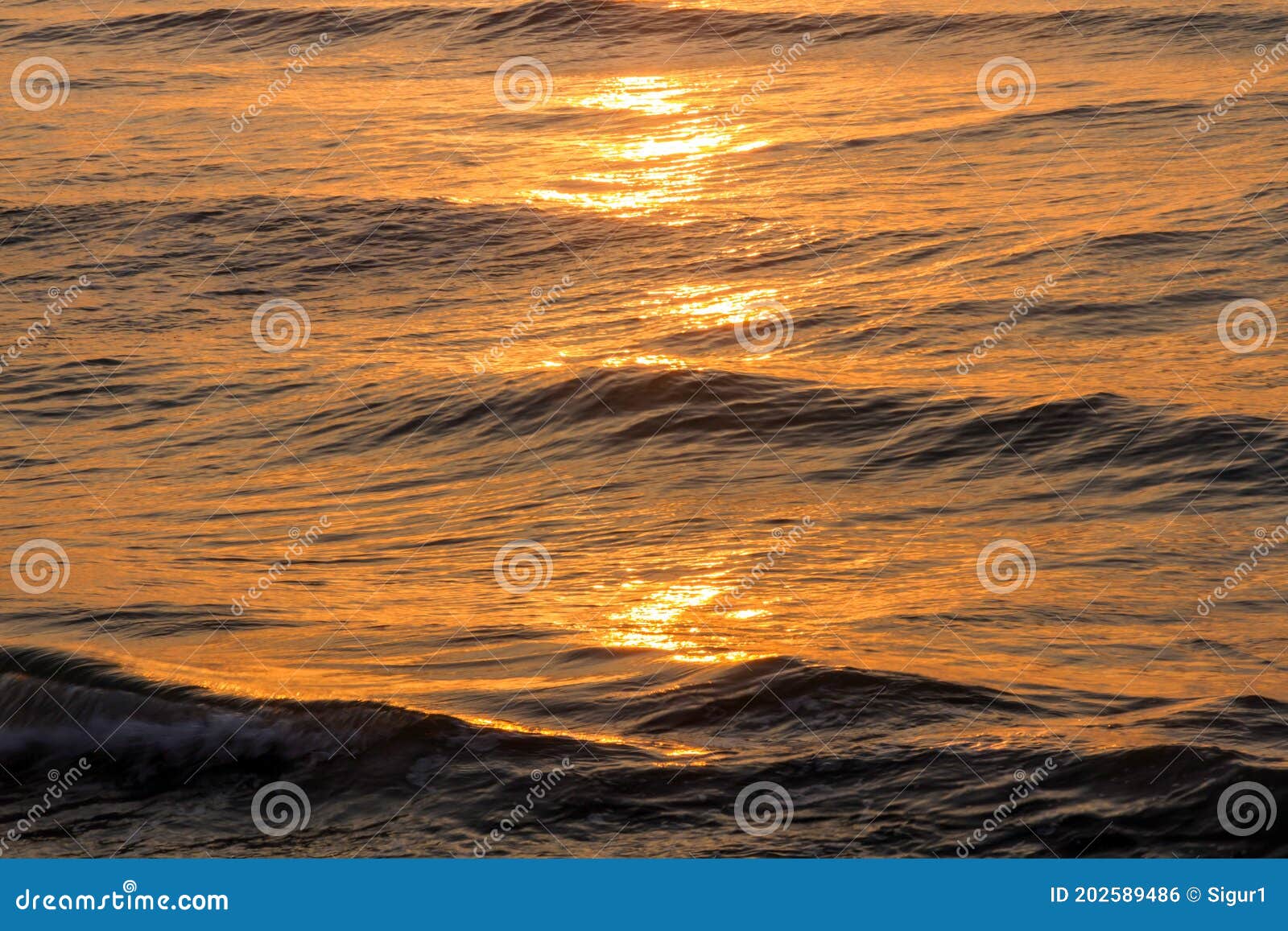 ..sea at dawn - mar al amanecer