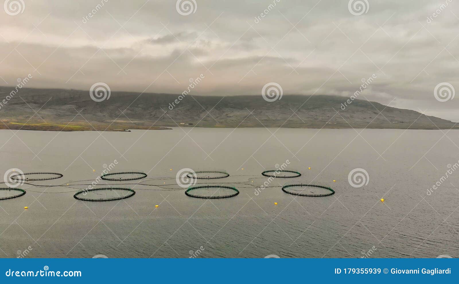 Sea Fish Farming in Round Net with Floating Cages in Iceland. Overhead  Aerial View of Aquaculture Salmon Fishing Farm Enclosure Stock Image -  Image of catfish, controlled: 179355939
