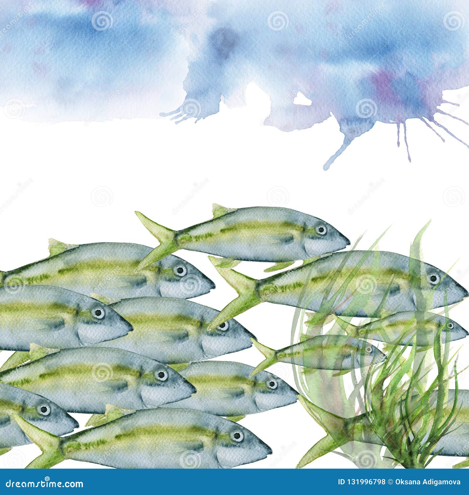 Sea Fish. Isolated On White Background Stock Illustration