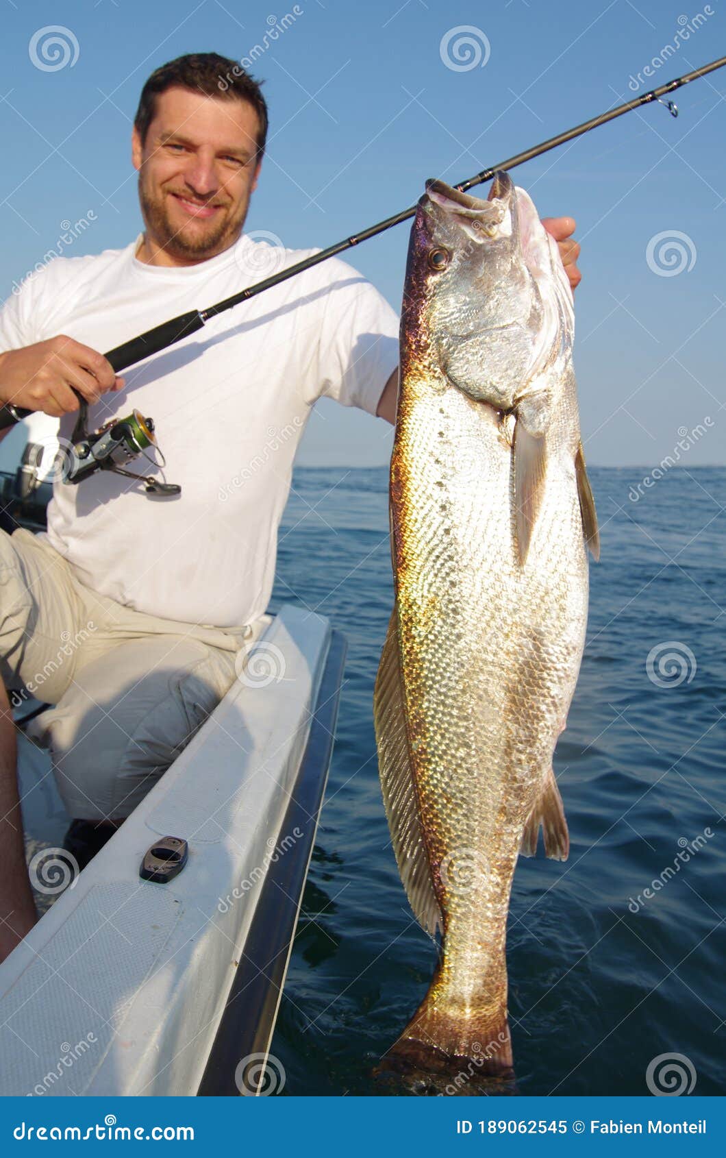 Sea Fishing. Big Meager Fish Salmon Bass Stock Image - Image of