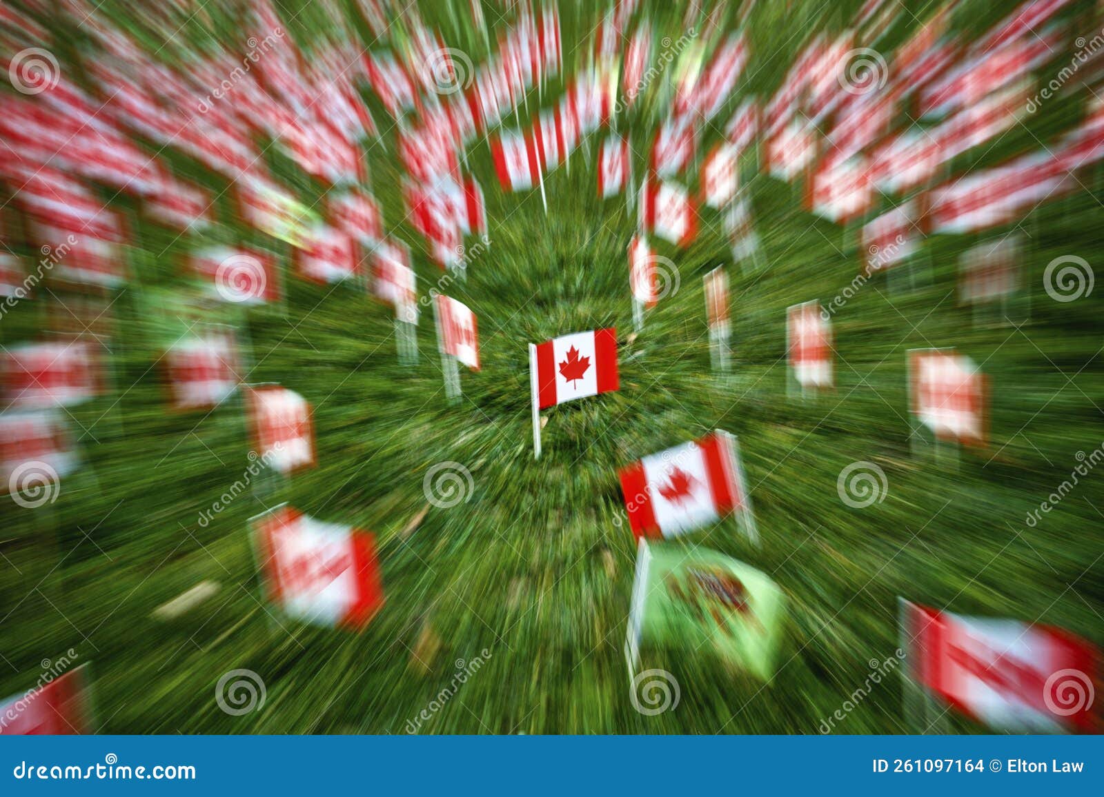 A Sea of Flags To Tribute To the Veterans Stock Photo Image of