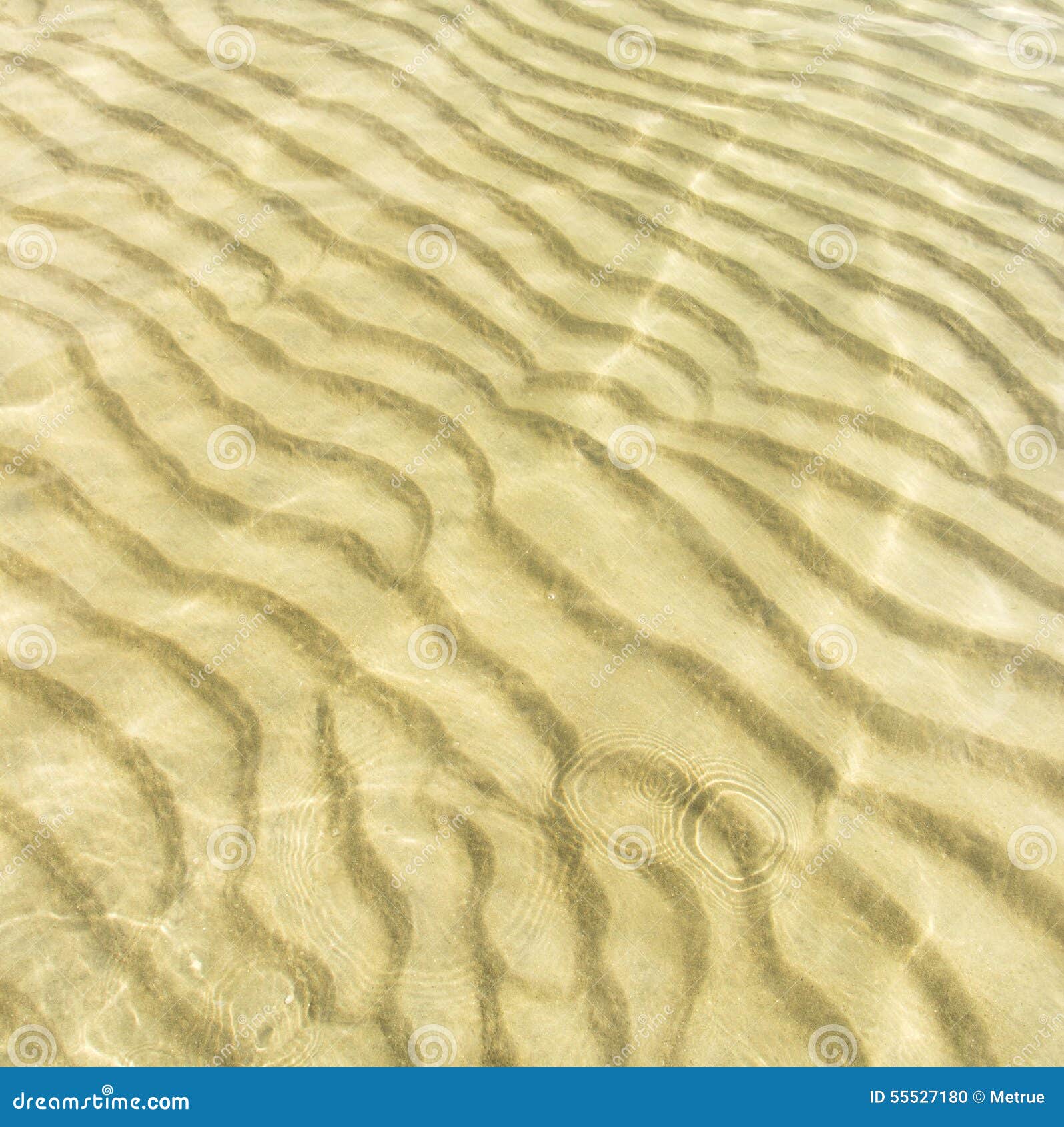 Sea Floor Stock Photo Image Of Shoal Coast Reflection 55527180