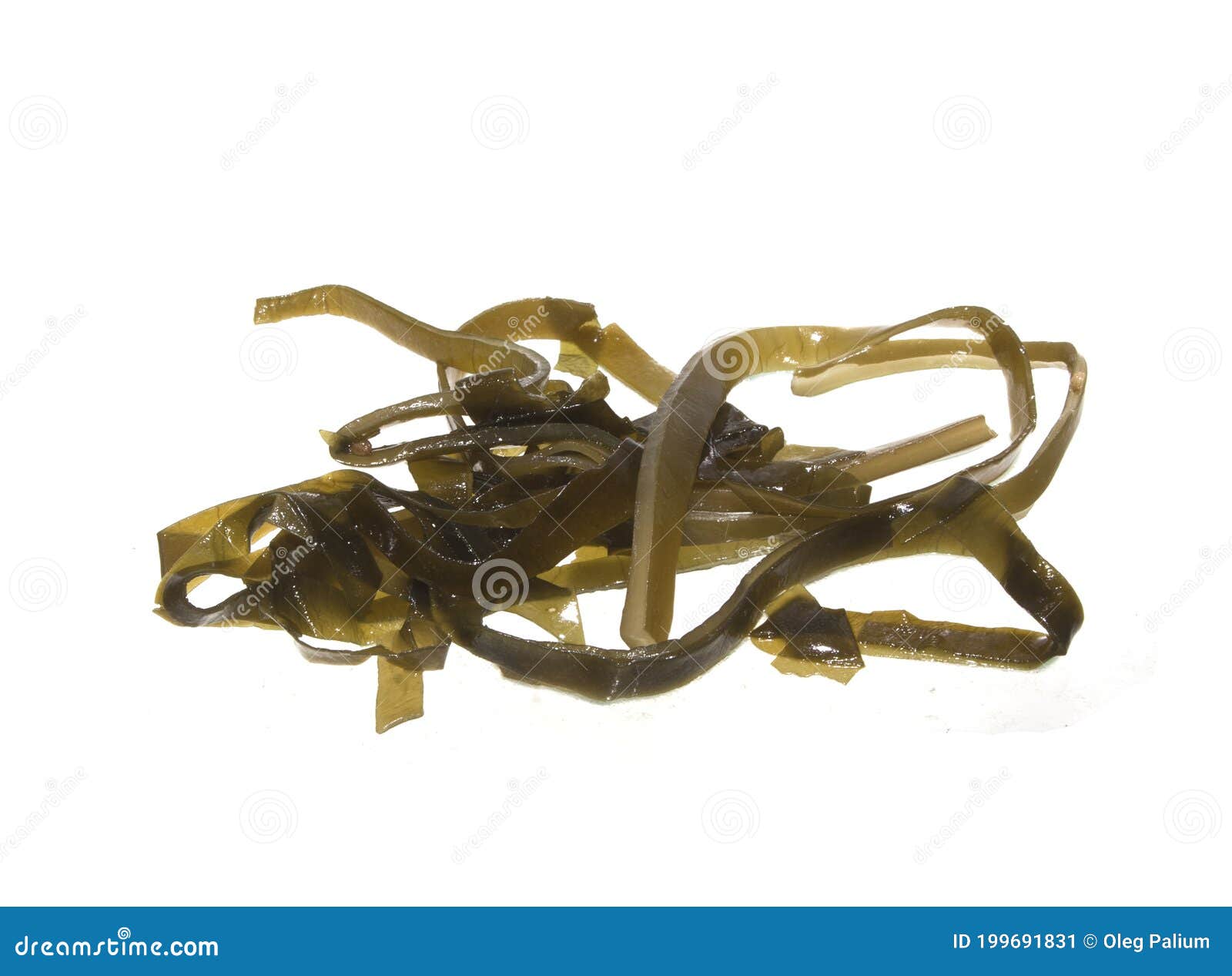 Sea Kale Isolated on White Background Stock Image Image of napkin