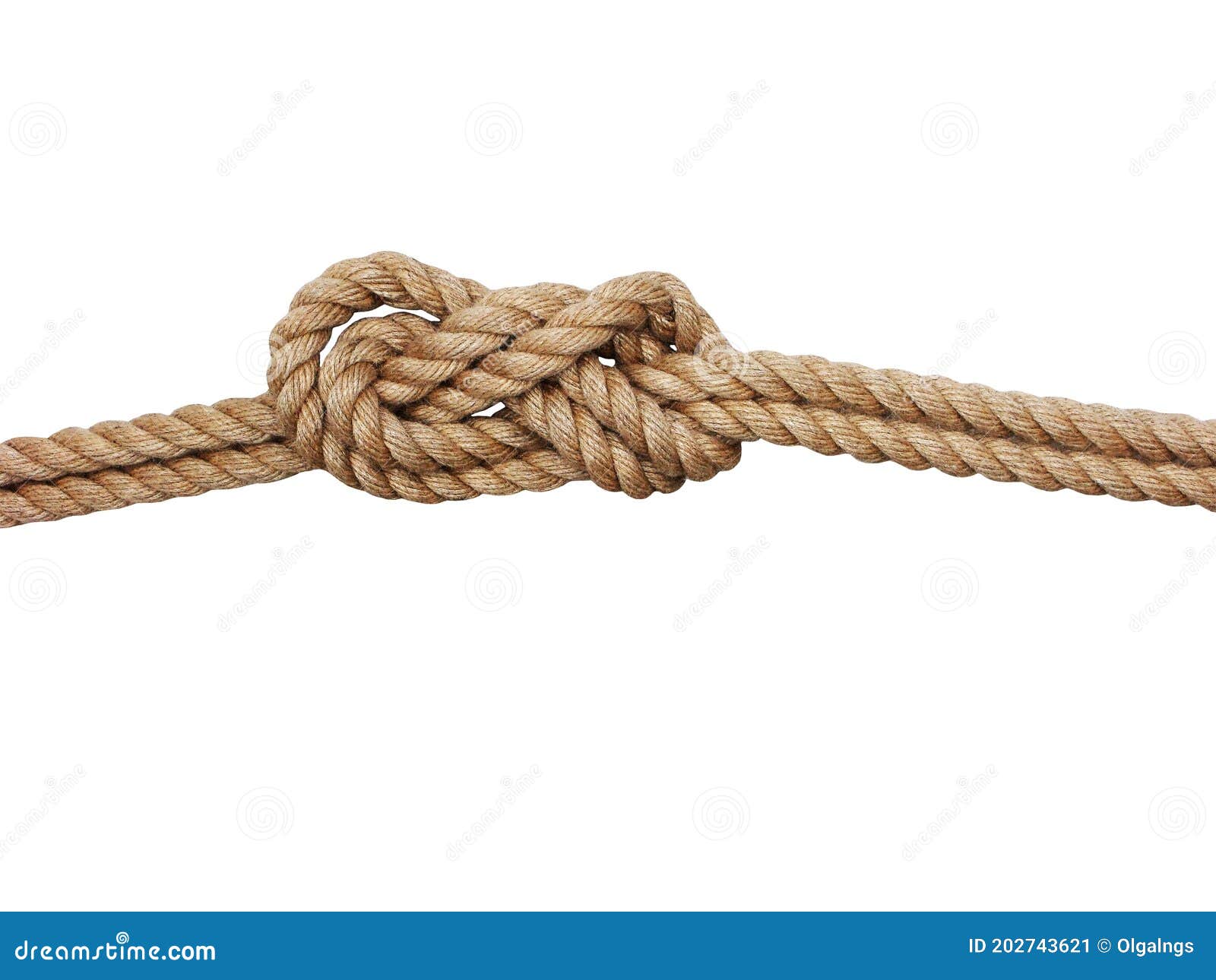 Nautical rope knot. Square knot isolated on white background. Stock Photo