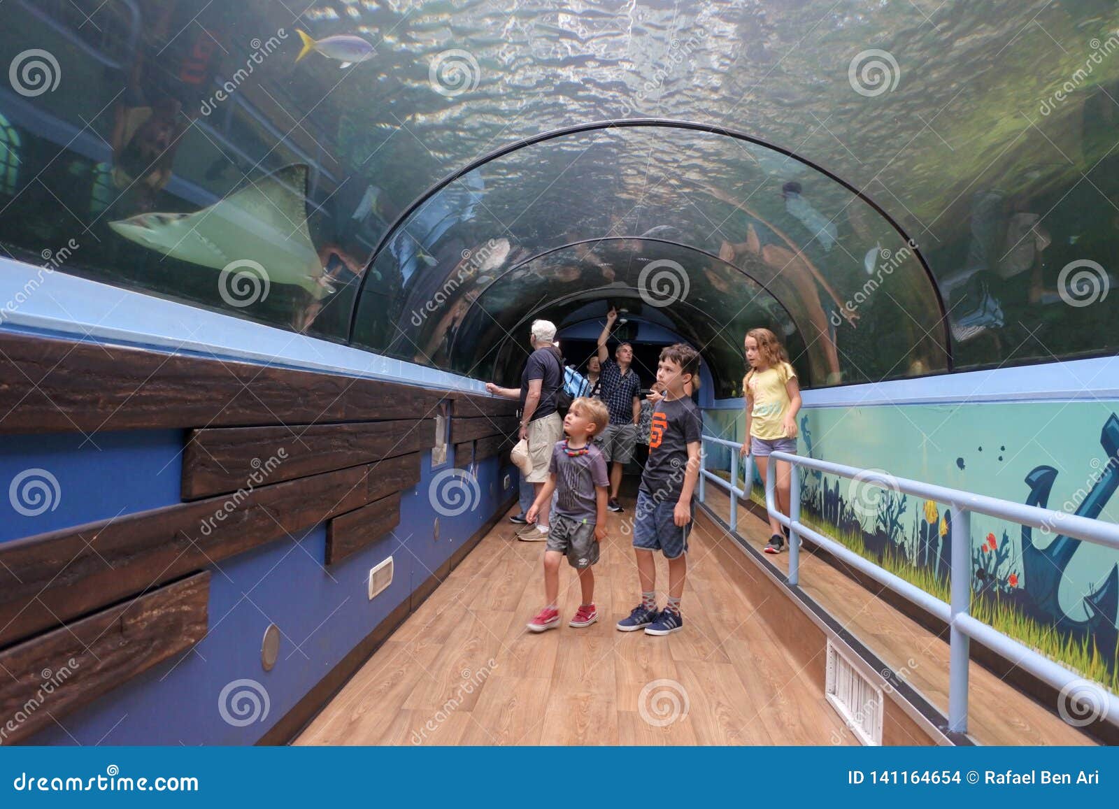 Sea Life Aquarium in Sydney New South Wales Australia Editorial Stock ...