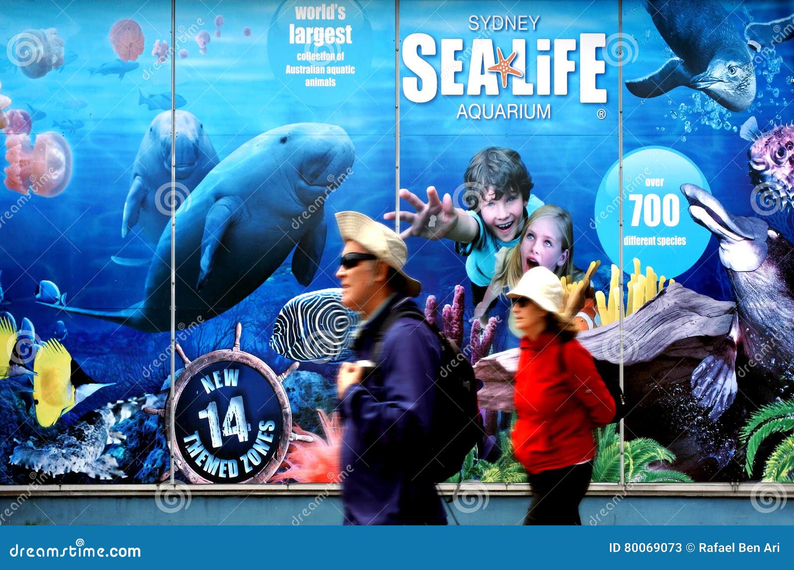 Sea Life Sydney Aquarium Sydney New South Wales Australia Editorial Stock  Photo - Image of life, marine: 80069073