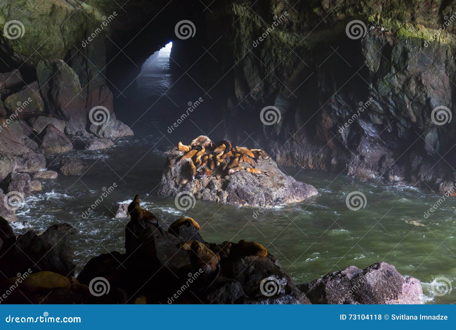 Sea Lion Caves At Oregon Coast Stock Photo Image Of Rocvks Water