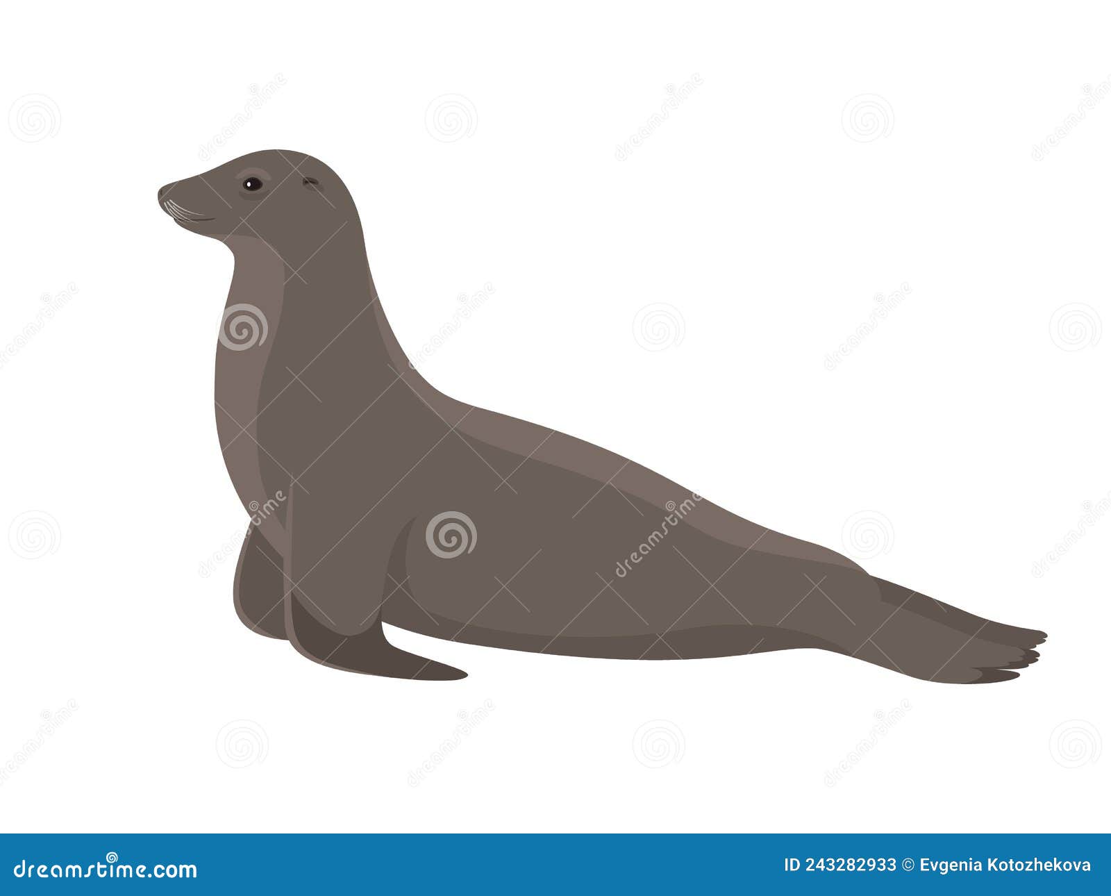 California Sea Lion Cartoon Vector Illustration Stock Illustrations – 21 California Sea Lion Cartoon Vector Illustration Stock Illustrations, Vectors & Clipart - Dreamstime California Sea Lion Cartoon Vector Illustration Stock Illustrations – 21 California Sea Lion Cartoon Vector Illustration Stock Illustrations, Vectors & Clipart - Dreamstime