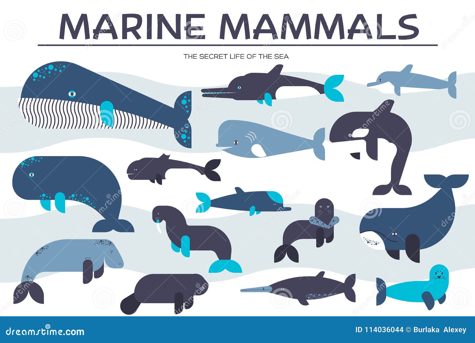 Sea Mammals Animal Collection Icons Set. Vector Fish Illustration in Ocean Life Background Stock Vector - Illustration of bowhead, baleen: 114036044 Sea Mammals Animal Collection Icons Set. Vector Fish Illustration in Ocean Life Background Stock Vector - Illustration of bowhead, baleen: 114036044
