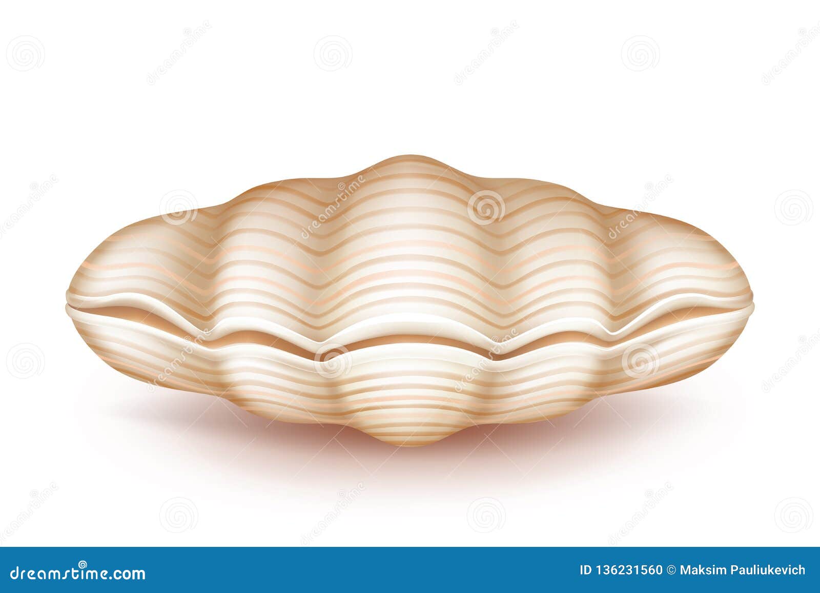 mollusk closed seashell 3d realistic  icon