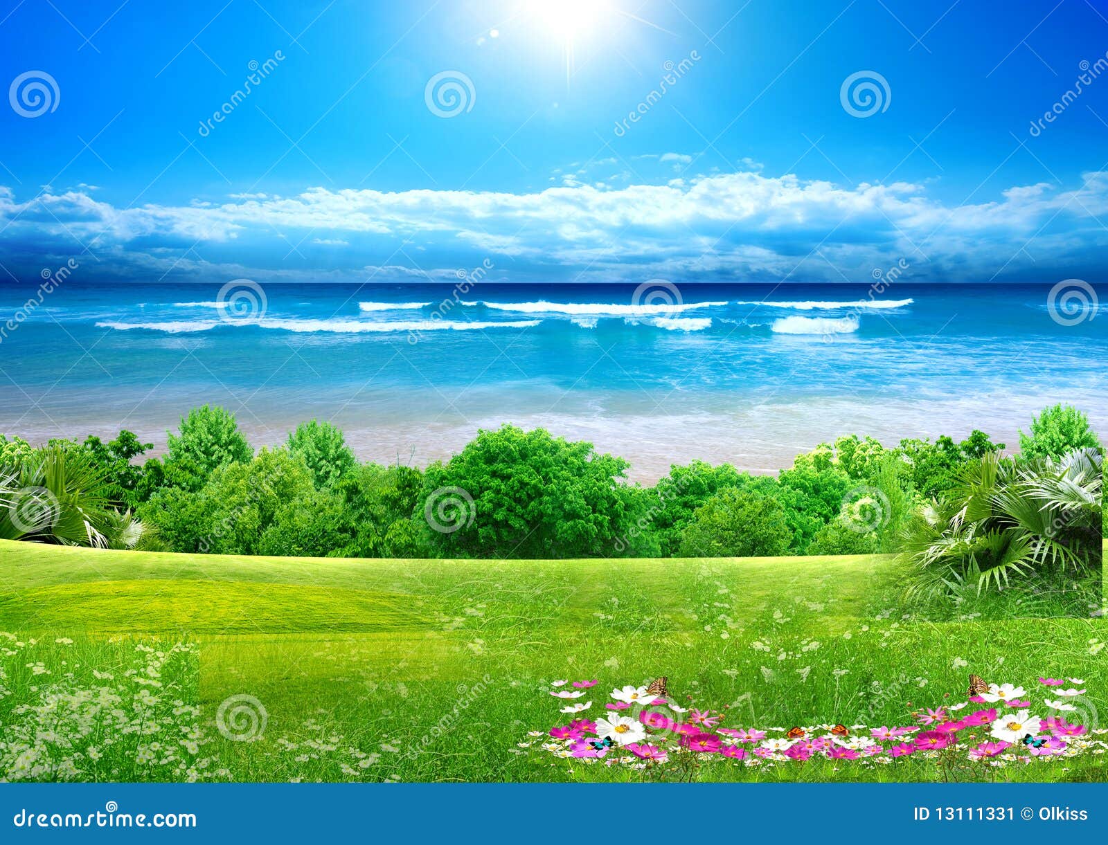 Sea nature background stock image. Image of butterfly - 13111331