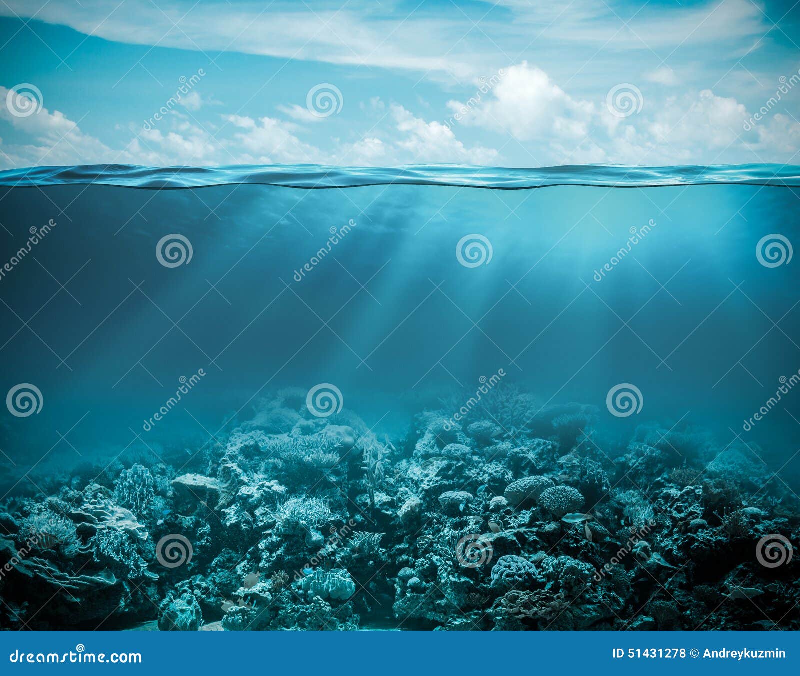 sea or ocean underwater deep nature background