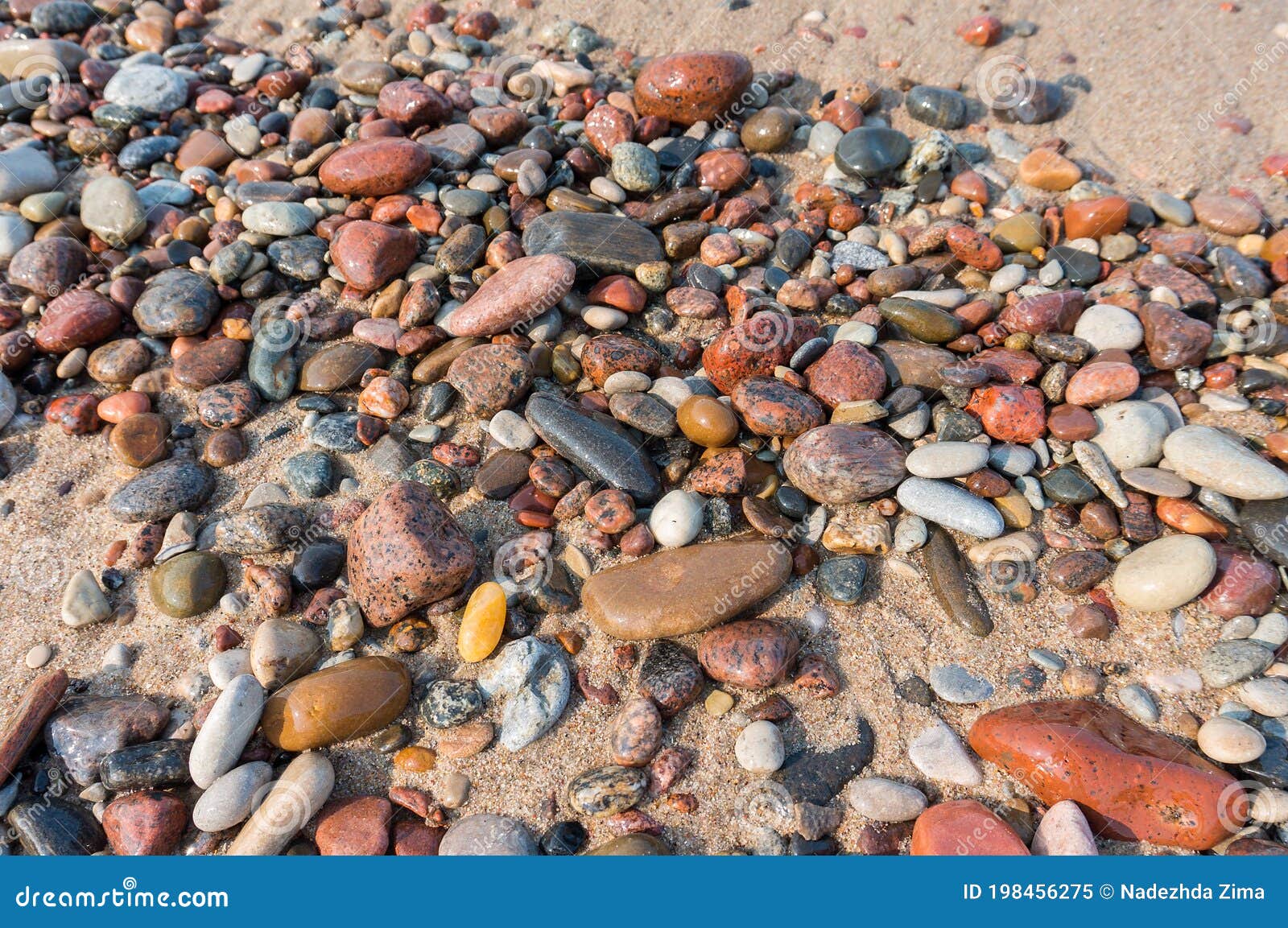 sea pebbles on the sand, small smooth stones, stony seashore