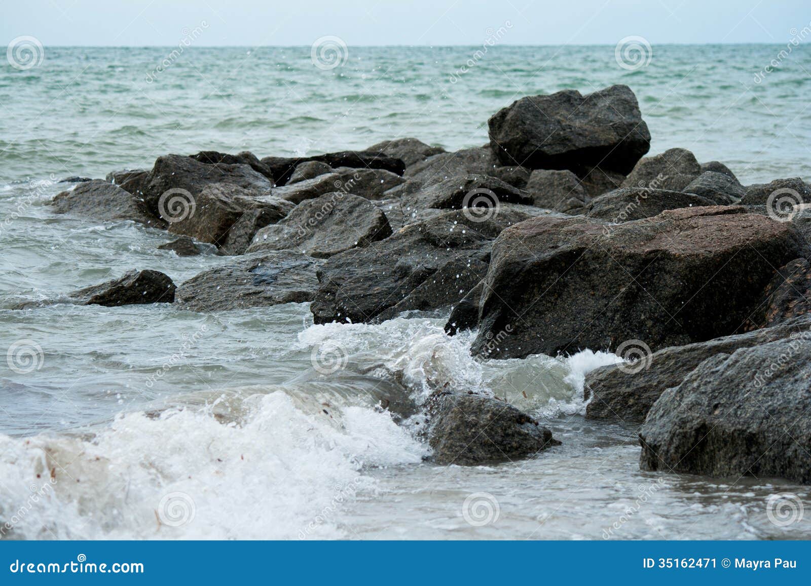 book tracking environmental change using lake sediments terrestrial