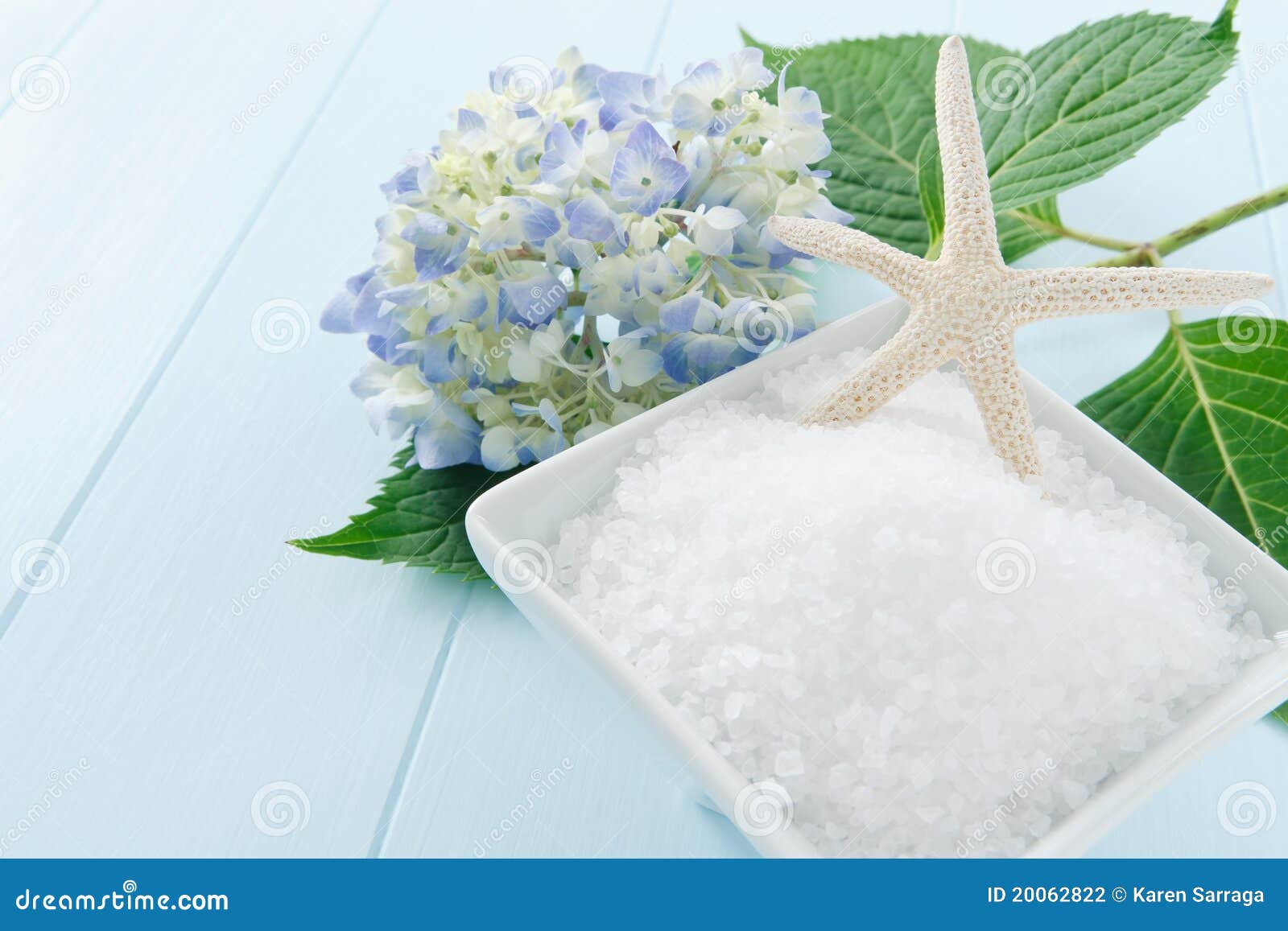 Sea Salt Bath Scrub stock photo. Image of hydrangea, copy 20062822