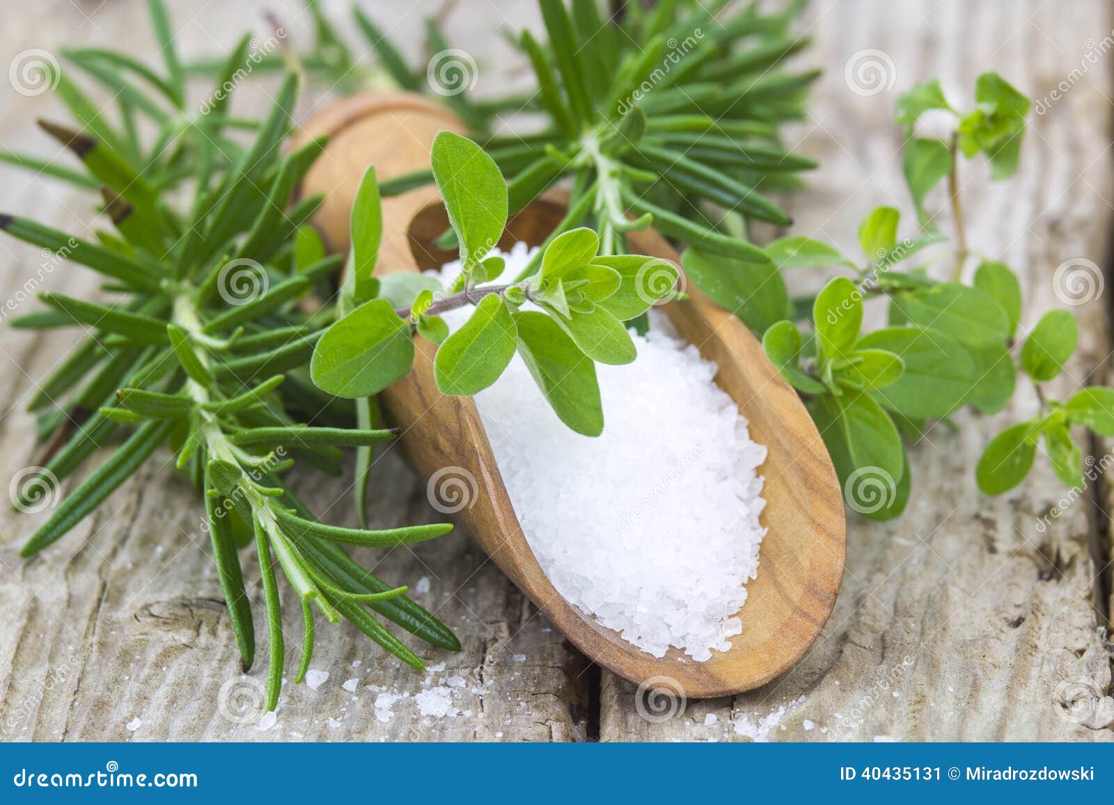 Sea salt and fresh herbs stock image. Image of healthy 40435131