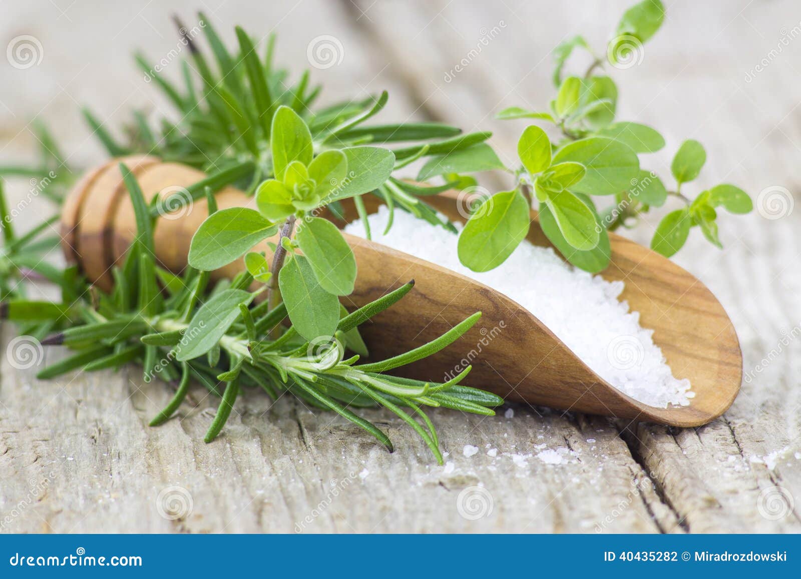 Sea salt and fresh herbs stock photo. Image of healthy 40435282