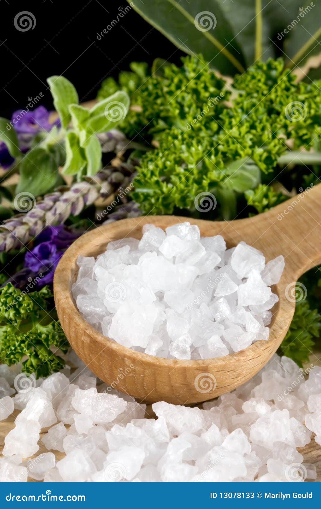 Sea Salt and Herbs stock image. Image of oregano, healthful 13078133