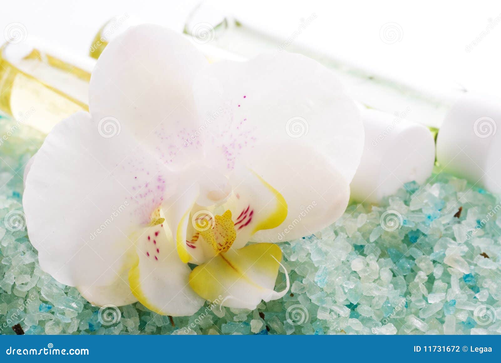 Sea salt with orchid stock photo. Image of bright, still 11731672