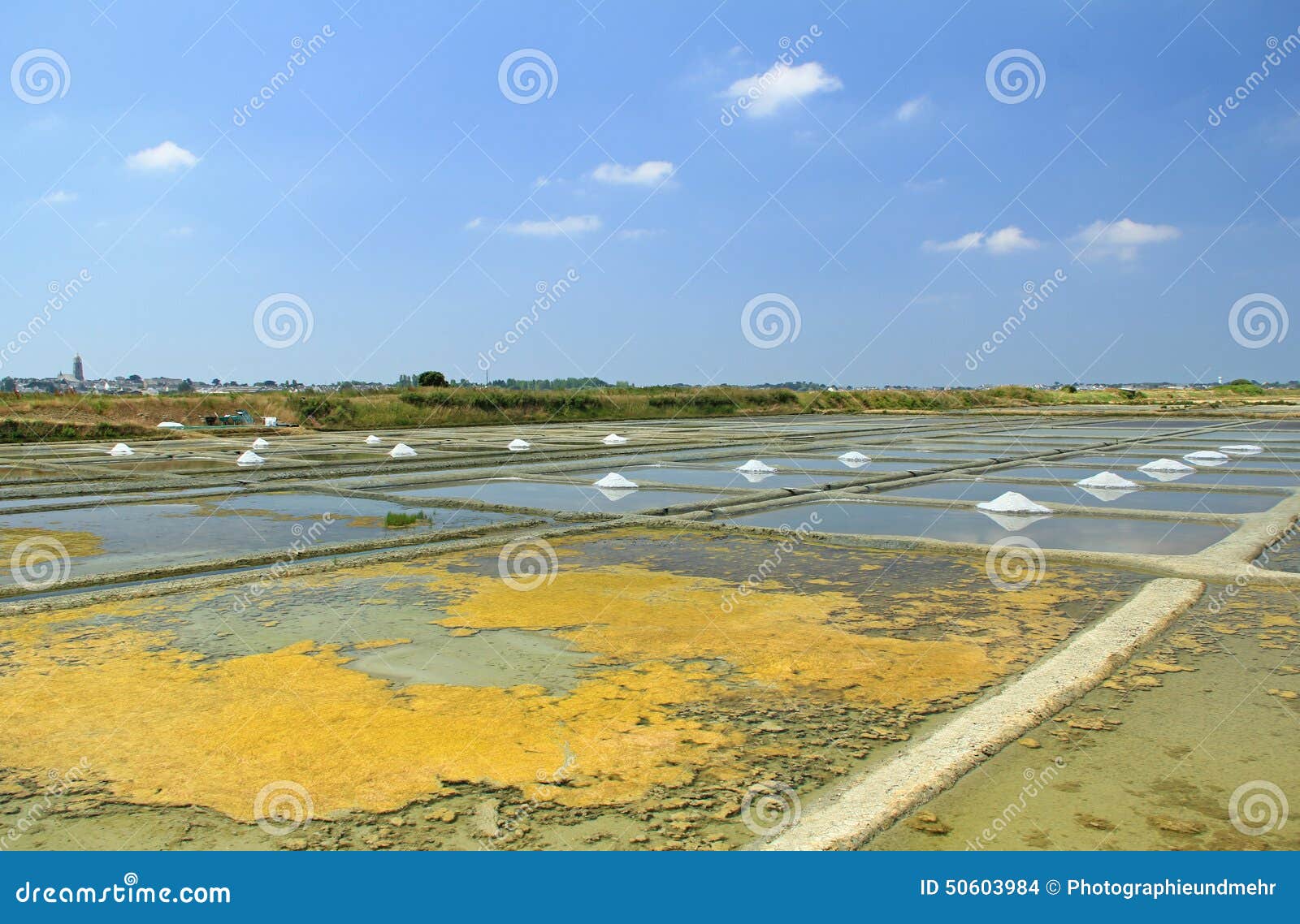 Sea Salt Production, France Stock Photo Image of flower, france 50603984