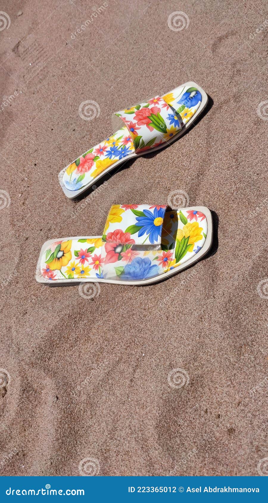 Sea Sand Slipper Rest Vacation Stock Photo - Image of sand, slipper ...