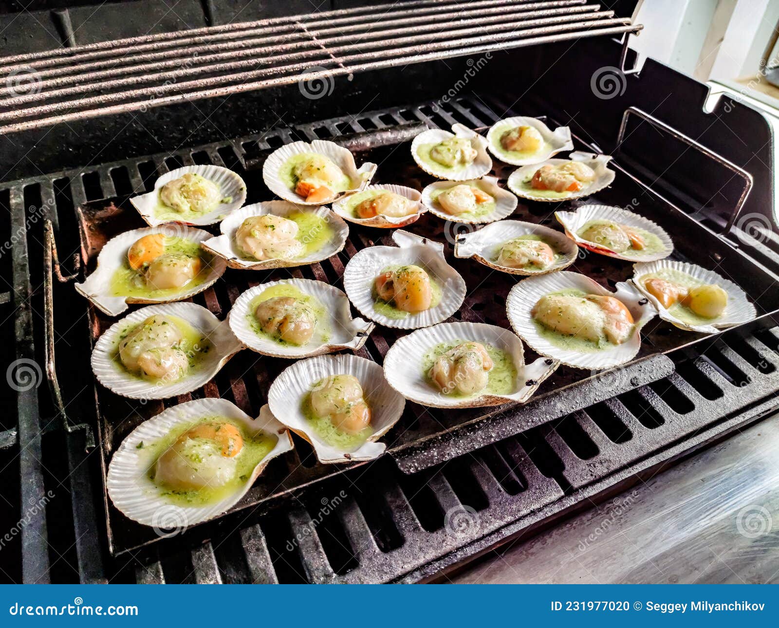 Sea Scallops in Shells are Grilled on the Grill Stock Photo Image of