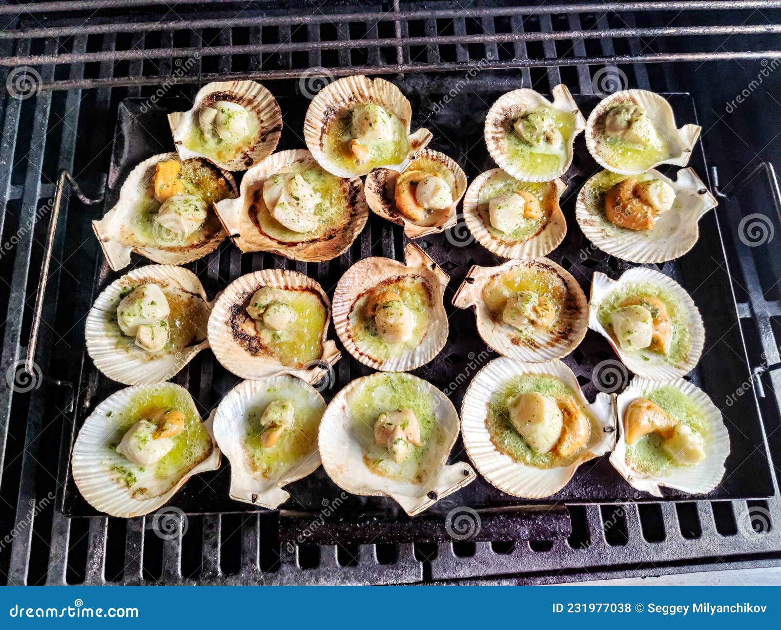 Sea Scallops in Shells are Grilled on the Grill Stock Photo Image of