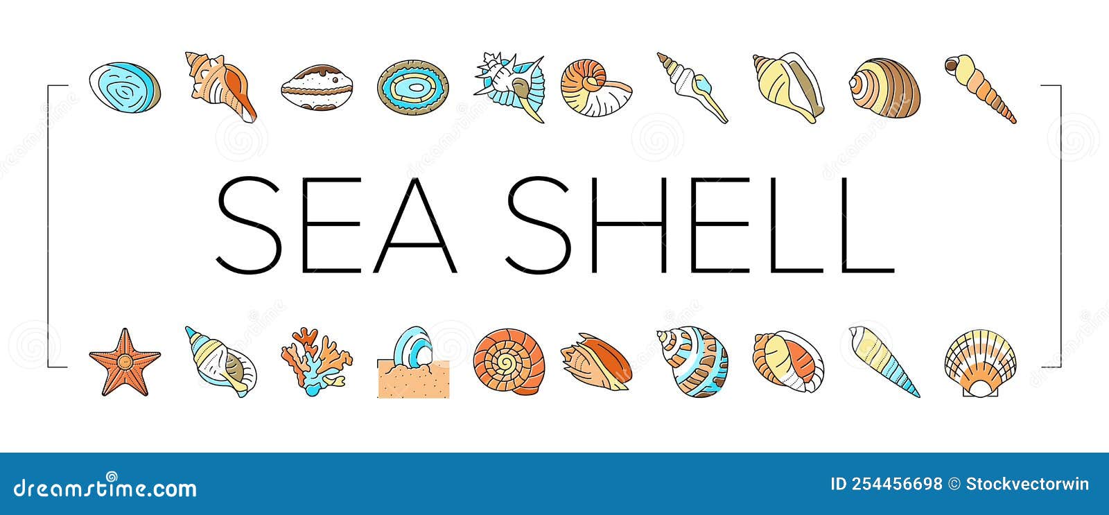 Colorful sea shells set starfish and spiral Vector Image