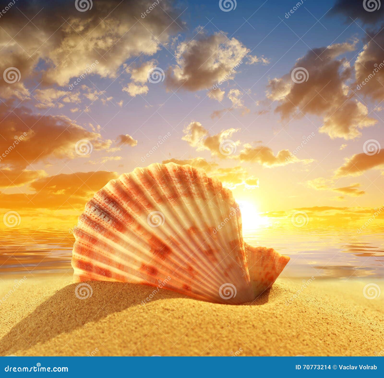 My Image 25