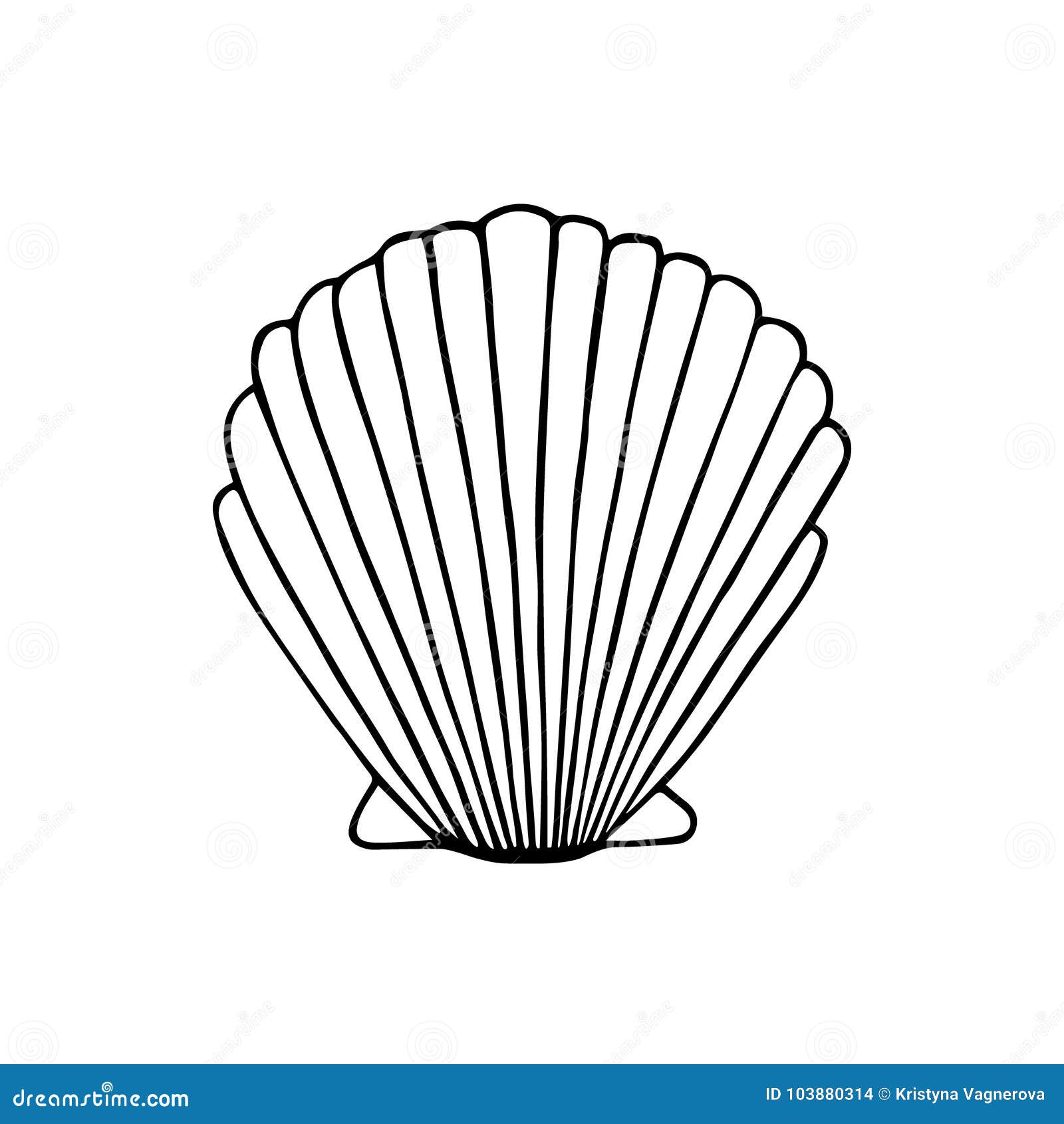 Free Vector | Hand drawn seashell outline illustration