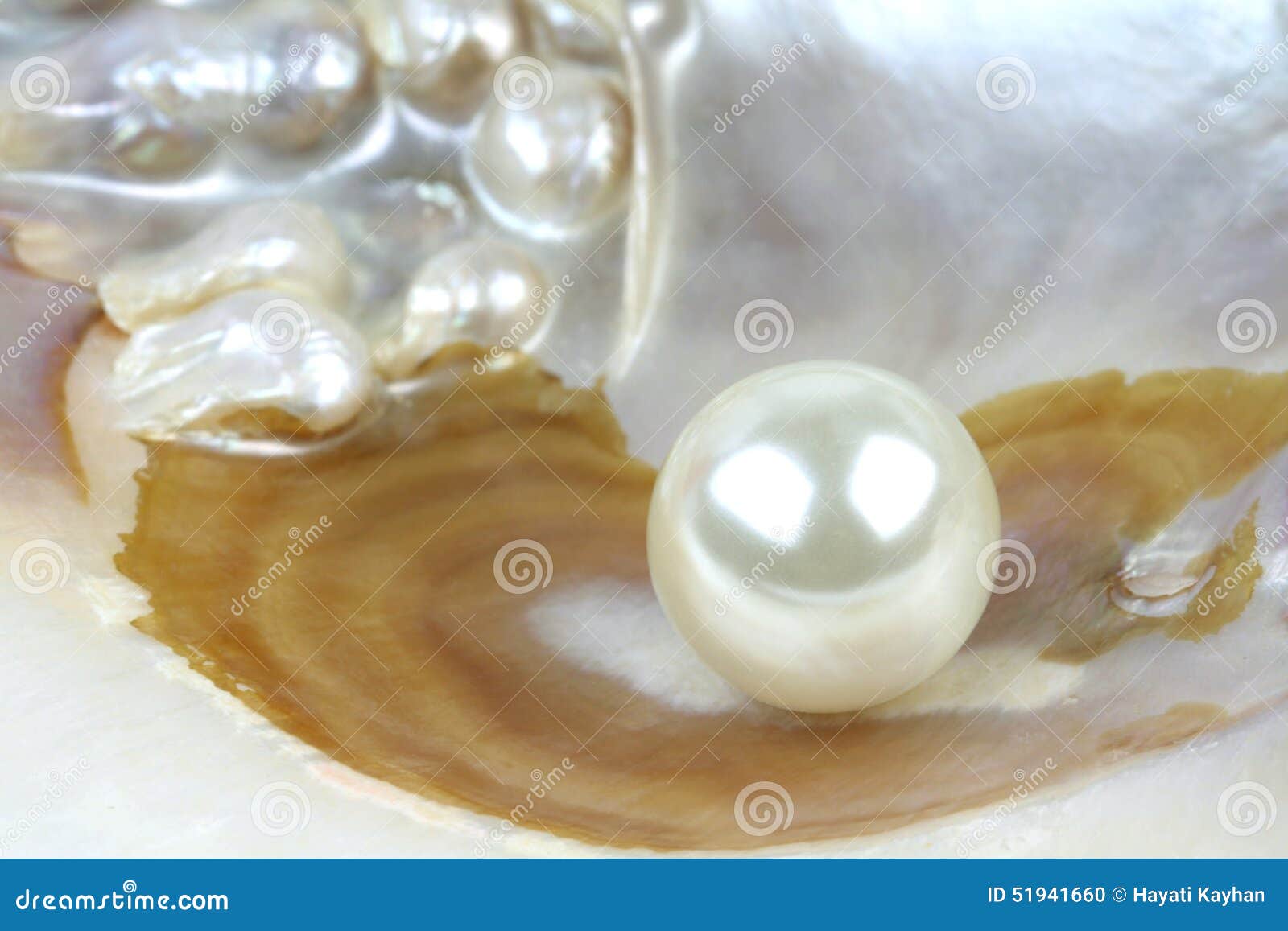 Sea Shell with Real Pearls, Macro Shot Stock Photo - Image of rare