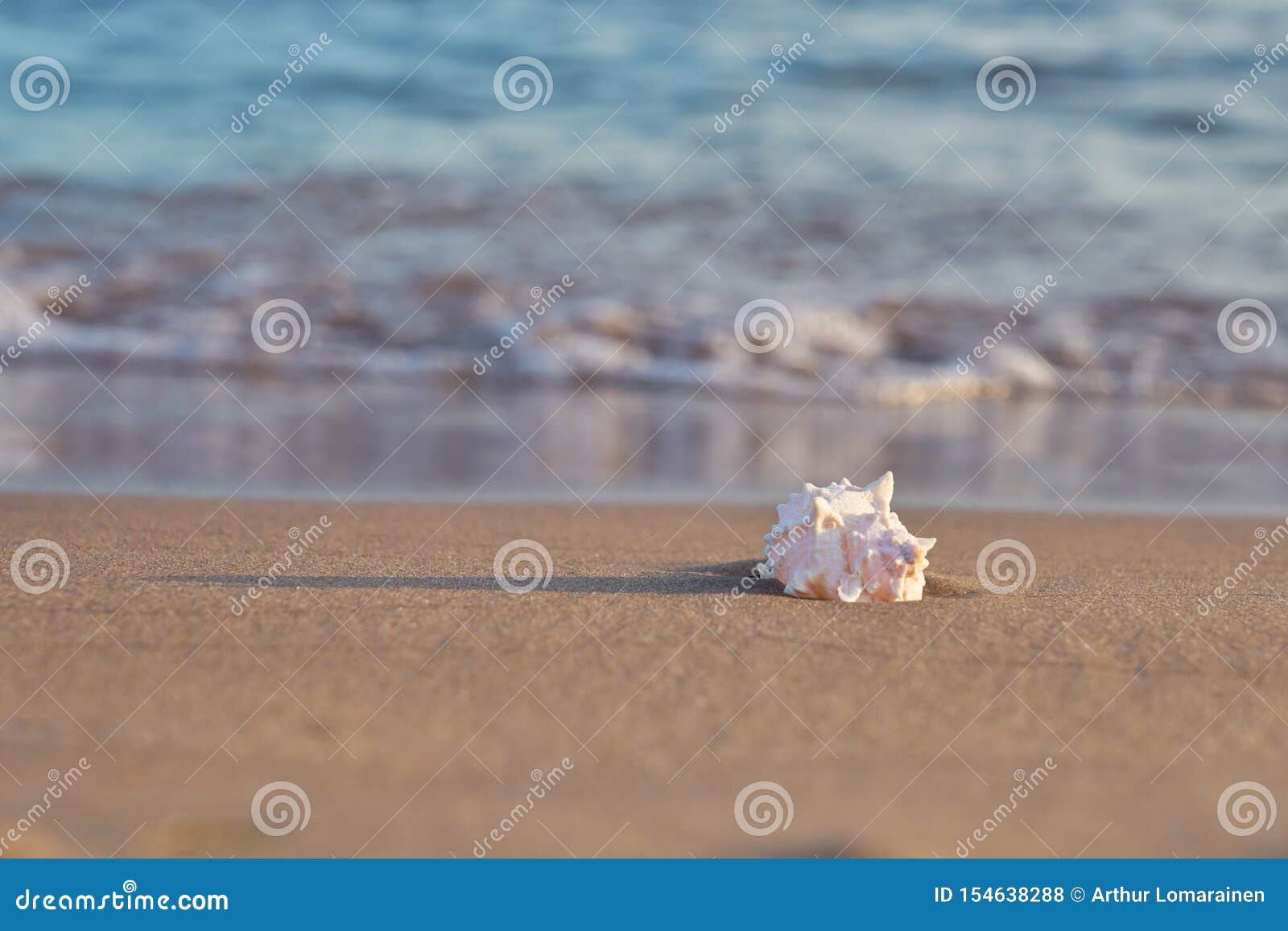 Sea Shell On Sandy Beach With Blurred Sea Water With Waves On A