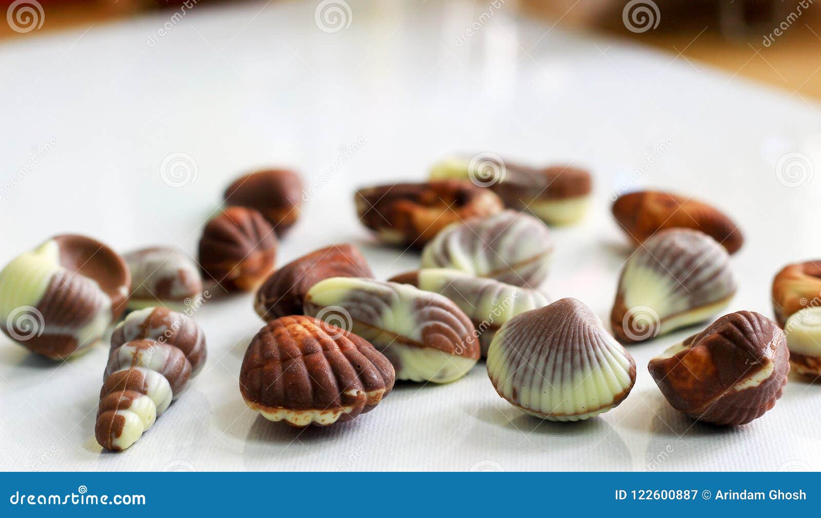 Sea Shell Shaped Assorted Belgian Chocolates in White Background.close