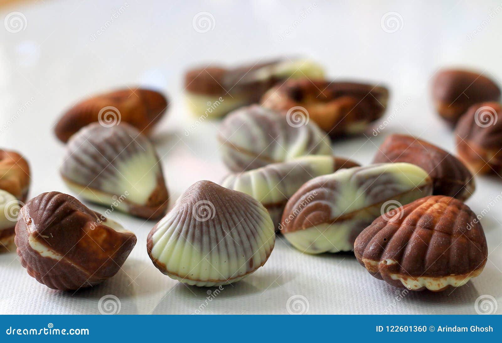 Sea Shell Shaped Assorted Belgian Chocolates in White Backgroundsea