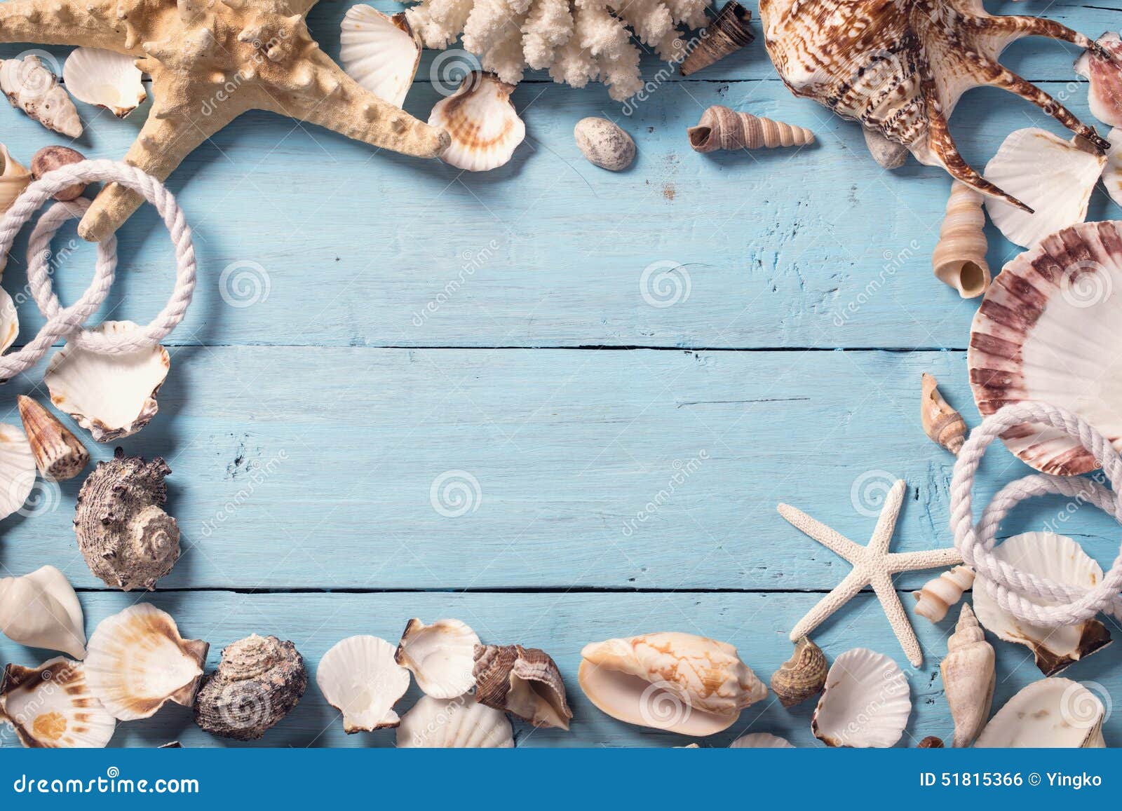 blue seashell wallpaper