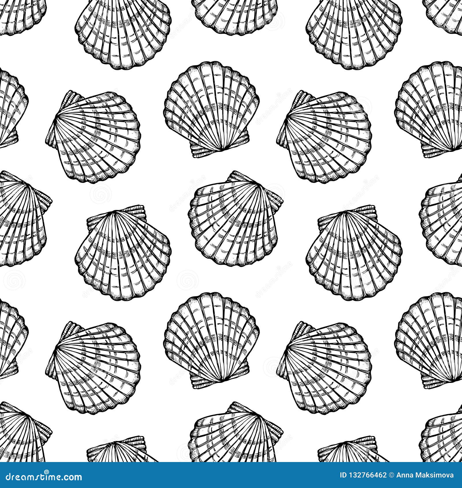 sea shells seamless  pattern