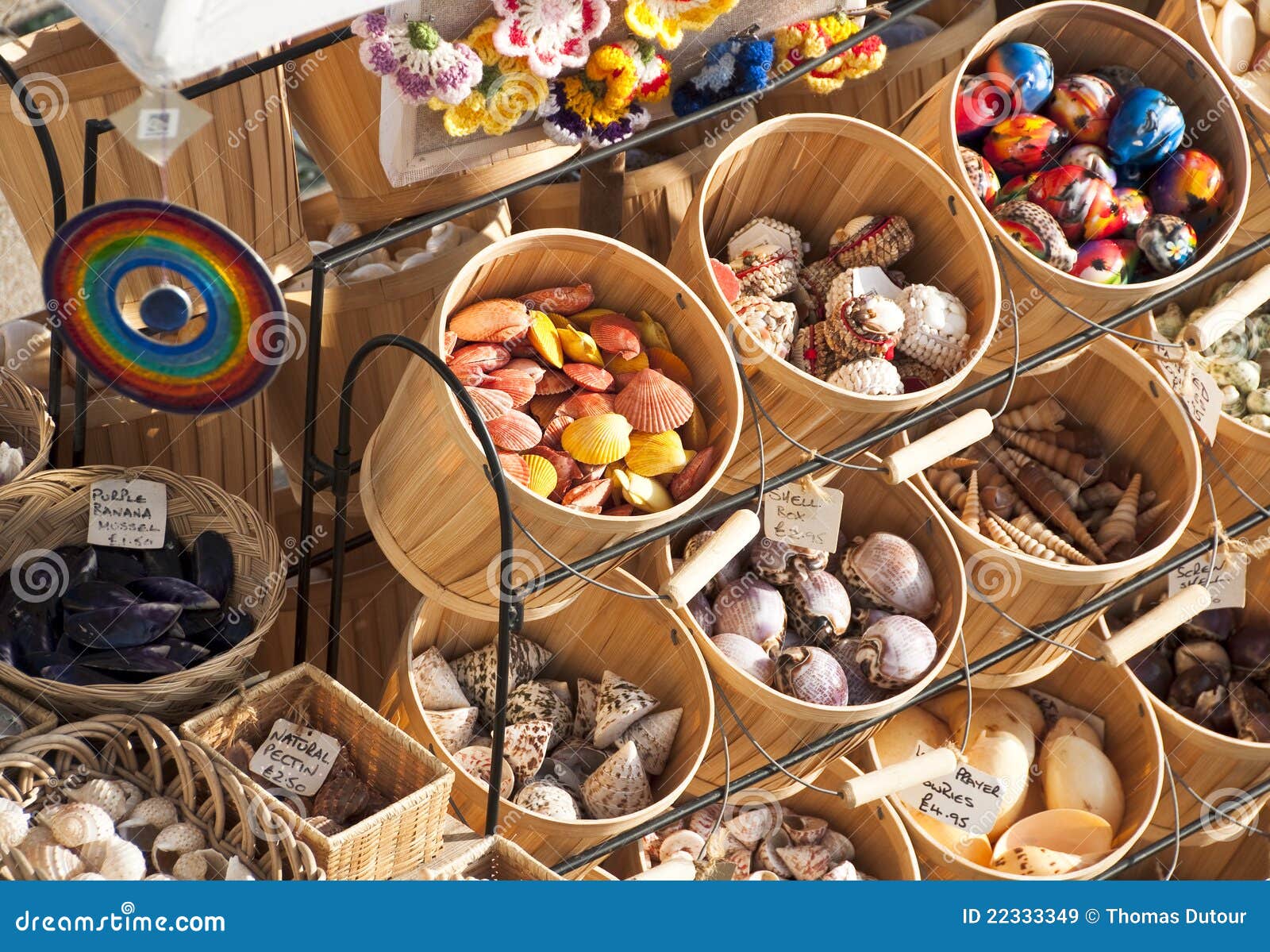 Sea shelves stock image. Image of sell, marine, beautiful 22333349